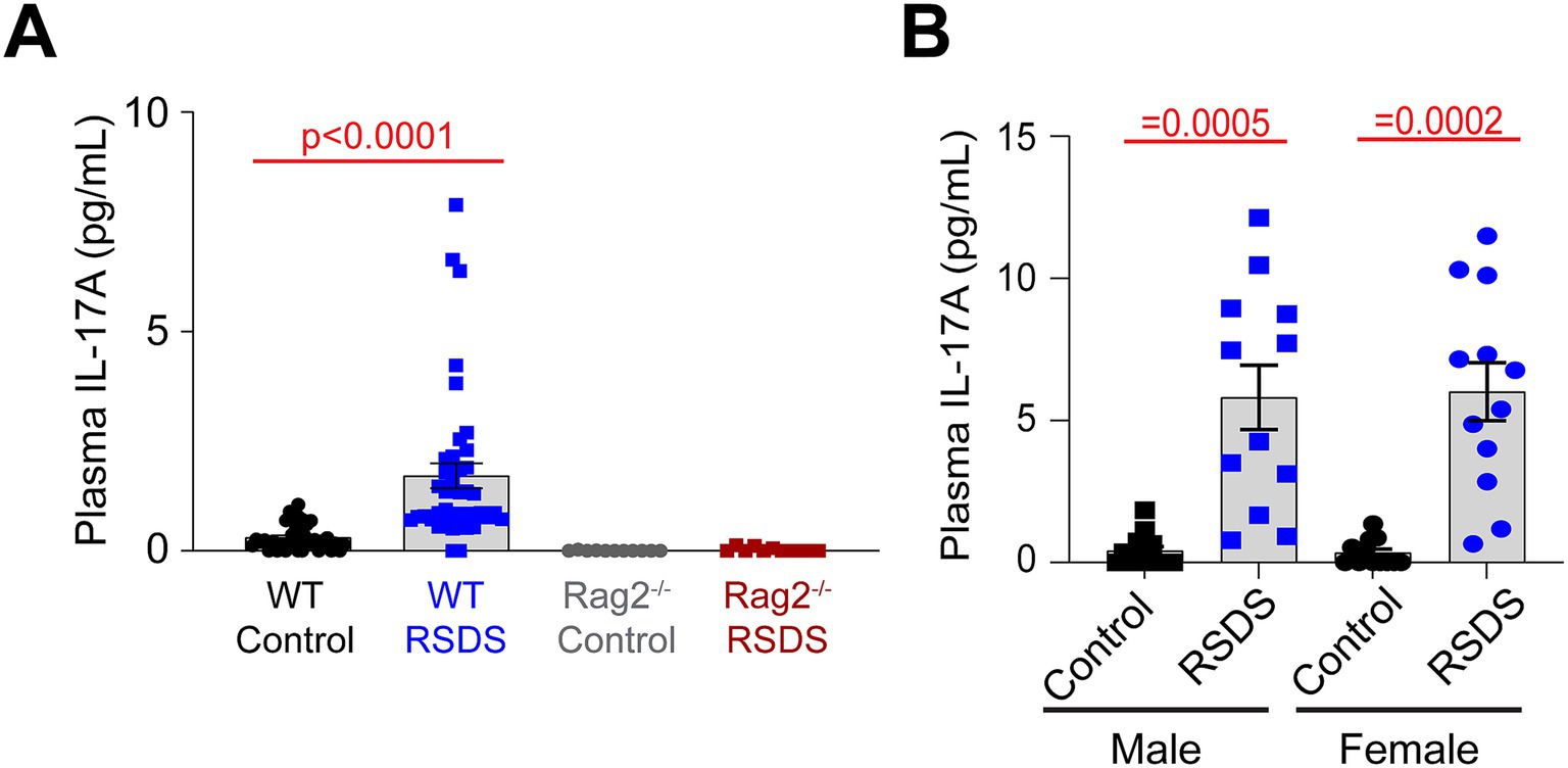 Graph A shows plasma IL-17A levels in pg/mL for WT Control, WT RSDS, Rag2⁻/⁻ Control, and Rag2⁻/⁻ RSDS, with a significant increase in WT RSDS (p < 0.0001). Graph B compares IL-17A levels by sex, showing significant differences between control and RSDS in both males and females, with p-values of 0.0005 and 0.0002, respectively.
