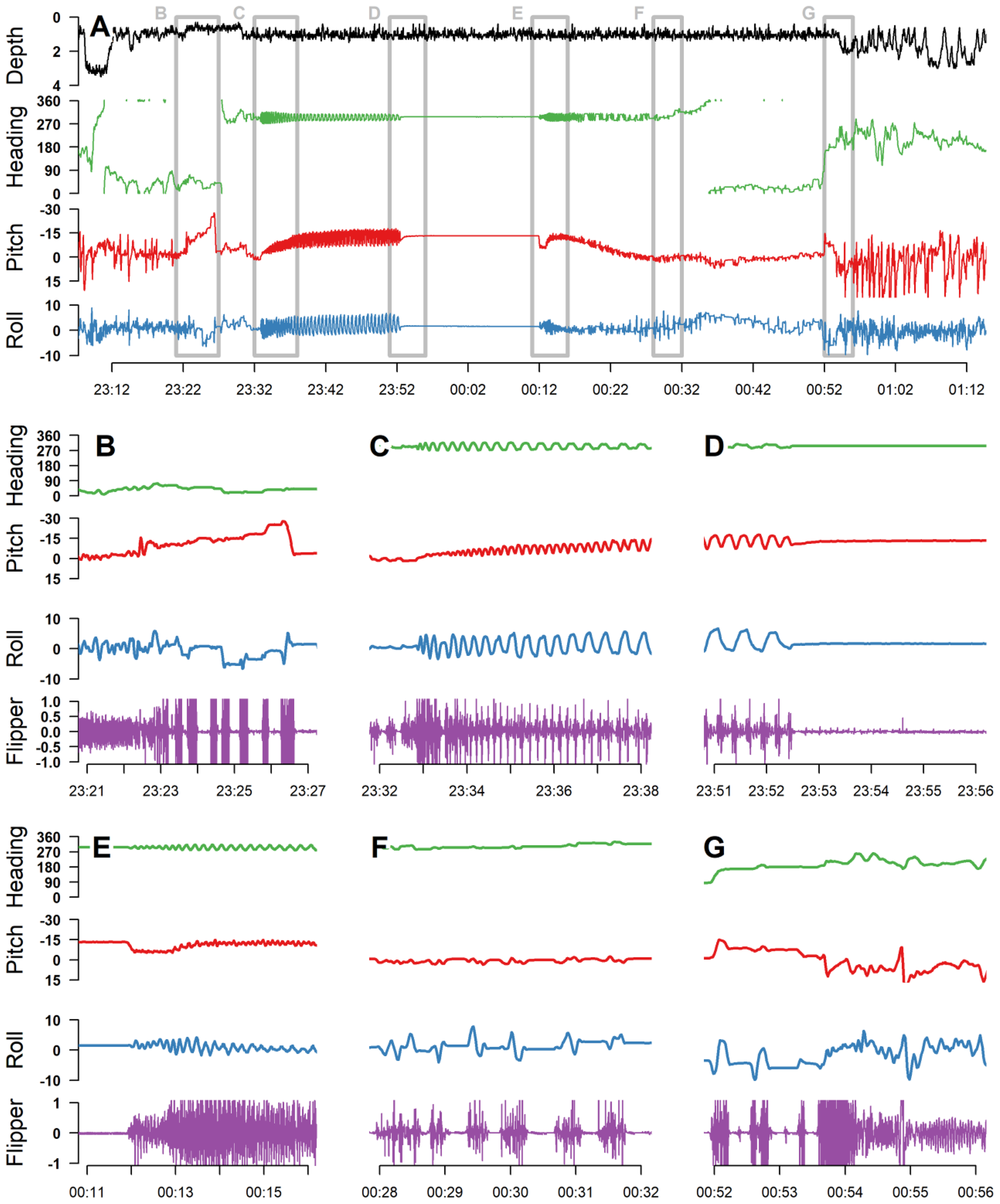 Graph displaying various time-series data labeled A to G. It shows measurements of depth, heading, pitch, roll, and flipper movement over time. Each segment A to G has individual plots of heading (green), pitch (red), roll (blue), and flipper (purple) data. Time is marked from 23:12 to 01:12, with each segment focused on different intervals. Variations in line patterns represent changes in the measured parameters.
