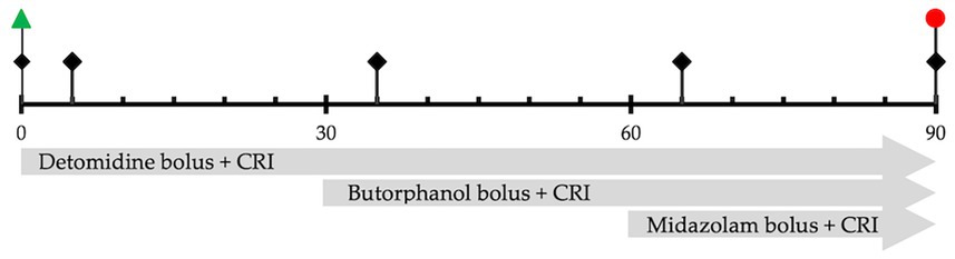 Timeline showing drug administration intervals over ninety minutes. Detomidine bolus plus CRI starts at zero minutes, followed by Butorphanol bolus plus CRI at thirty minutes, and Midazolam bolus plus CRI at sixty minutes. The three CRIs ran concurrently for thirty minutes. Starting point marked with a green triangle, ending with a red circle.