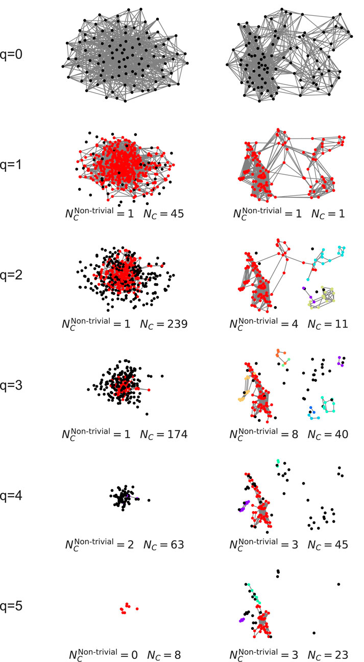 Network diagrams show various structural configurations for different q-values, ranging from zero to five. As q increases, the complexity and number of nodes change. Each configuration displays colored nodes and connecting lines. The labels indicate the number of non-trivial components and total components (N_C). For instance, at q equals zero, both configurations have dense connections without specific non-trivial components, while at q equals five, configurations become sparse with distinct clusters.