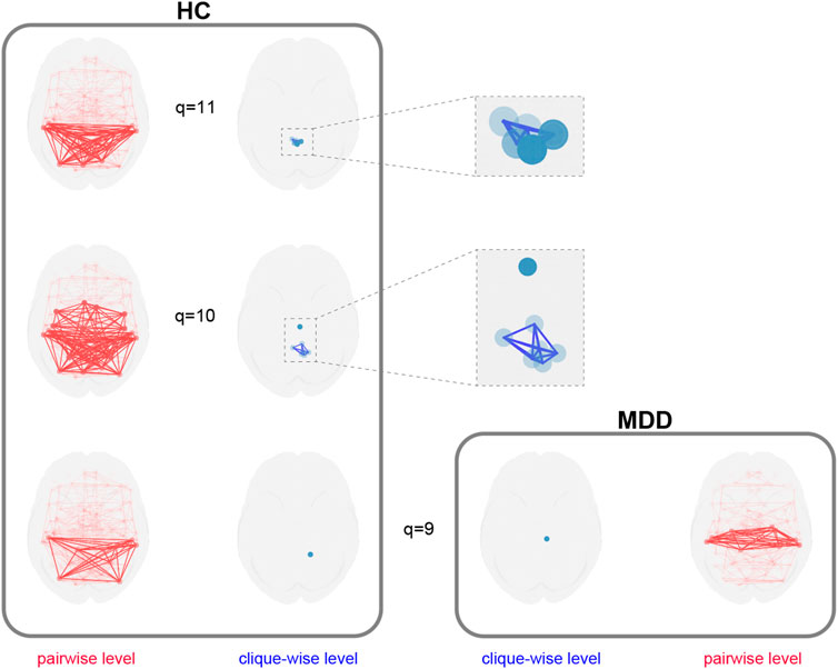 Diagram comparing brain connectivity in healthy controls (HC) and major depressive disorder (MDD). The HC section shows two brain images with red pairwise level connections and blue clique-wise level connections at q = 11 and q = 10. The MDD section shows a single brain image with red pairwise level connections and blue clique-wise connections at q = 9.