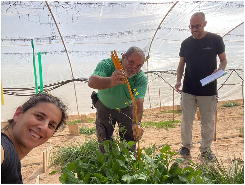 Three people inside a greenhouse, with a woman in the foreground smiling. A man in a green shirt is measuring a plant with a ruler, while another man holds a notebook and watches. They are surrounded by greenery and a framework of clear plastic overhead.