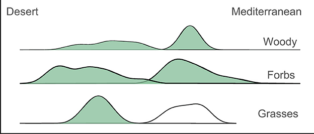 Density plots comparing vegetation types, including woody plants, forbs, grasses, and all species, in desert and Mediterranean environments. Each category shows varying peaks, with noticeable differences in distribution between environments.