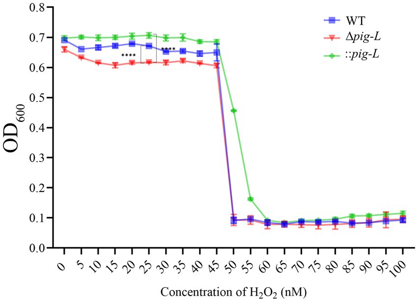 Line graph showing the effect of hydrogen peroxide (H₂O₂) concentration on bacterial growth measured by OD₆₀₀. Three lines represent WT (blue squares), Δpig-L (red triangles), and ::pig-L (green diamonds). All lines decline sharply after 50 nM H₂O₂, indicating reduced growth. Significant differences are marked with asterisks.
