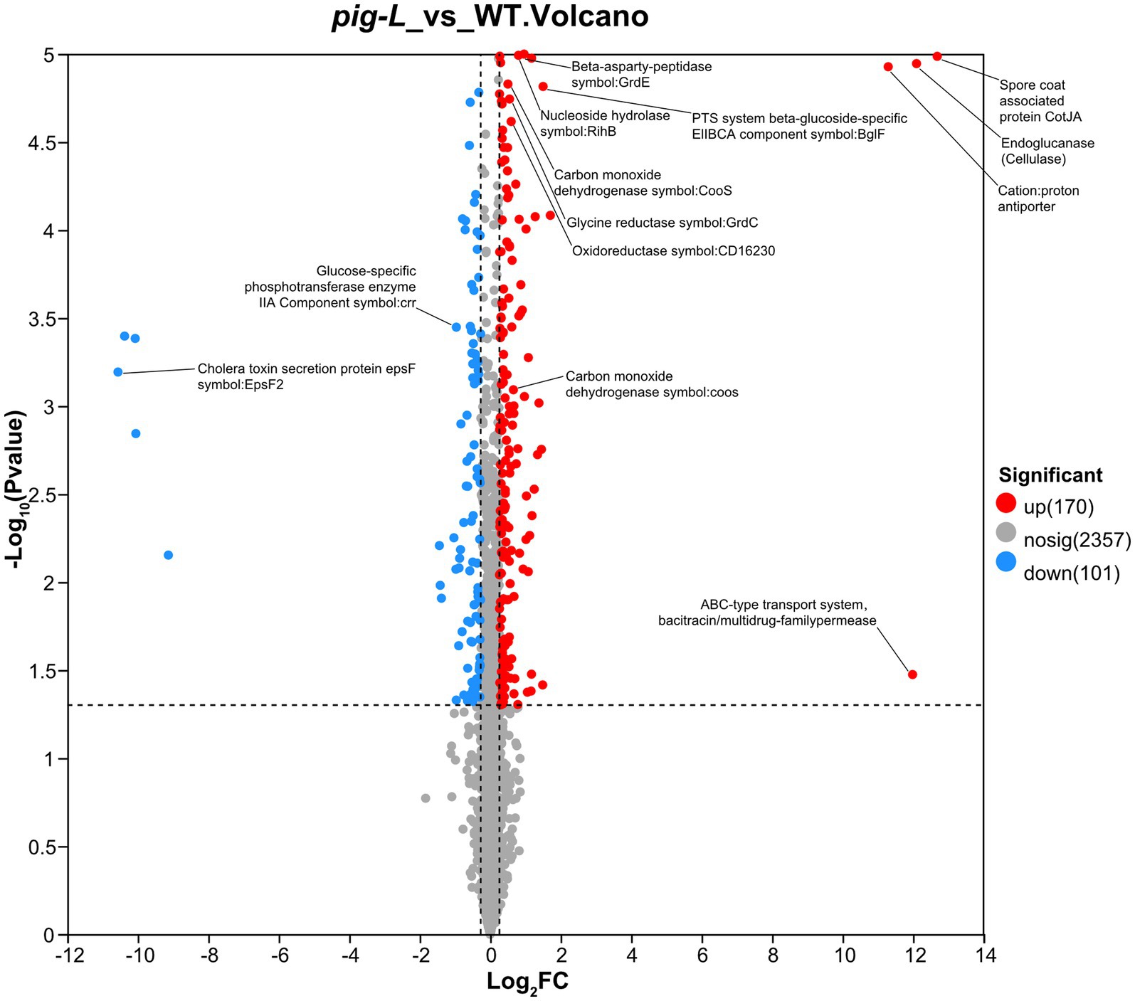 Volcano plot depicting the comparison of Δpig-L versus WT. The x-axis represents log2 fold change, and the y-axis shows negative log10 p-values. Red dots indicate upregulated proteins, blue dots depict downregulated proteins, and gray dots represent non-significant changes. The threshold for significance is marked with a horizontal dashed line. Labels identify selected proteins with significant changes.