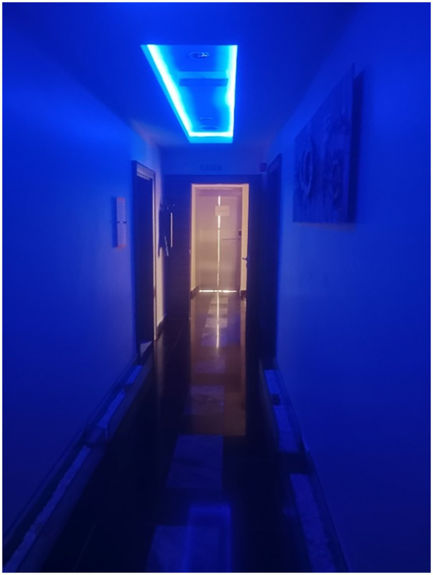 Dimly lit corridor with a blue neon light on the ceiling. The walls are decorated, and the corridor leads to a brightly lit door at the end. Floors have a reflective surface.