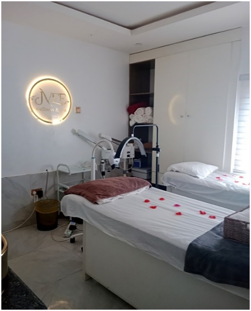 A spa treatment room with two massage beds adorned with red flower petals. A wall logo reads "wellness & spa." Towels and skincare equipment are neatly arranged in the background.
