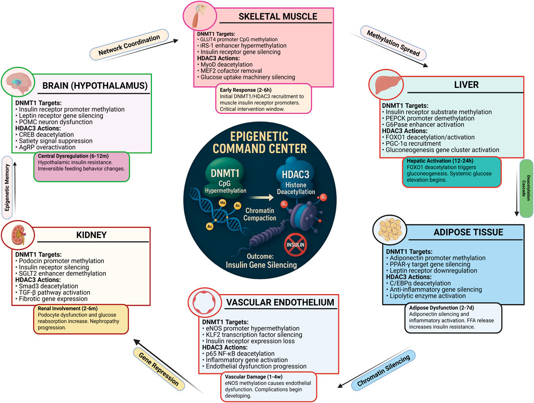 Diagram illustrating the