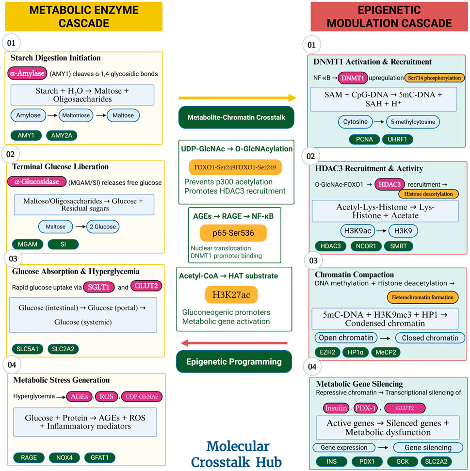 Flowchart illustrating the