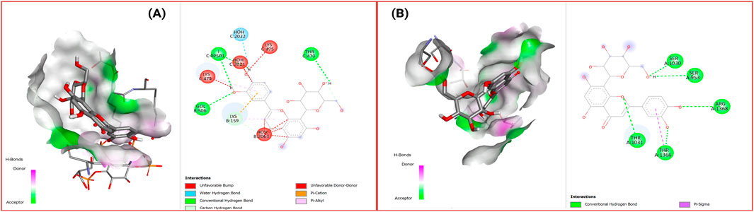 Illustration depicting molecular interactions in two panels. Panel A shows a complex structure with highlighted green and pink areas indicating hydrogen bonds, alongside molecular diagrams showing interactions like unfavorable bumps and bonds. Panel B features a similar structure with indicated interactions such as conventional hydrogen bonds and π-π stacking, with several labeled atoms and molecules linked by colored lines representing different interaction types.