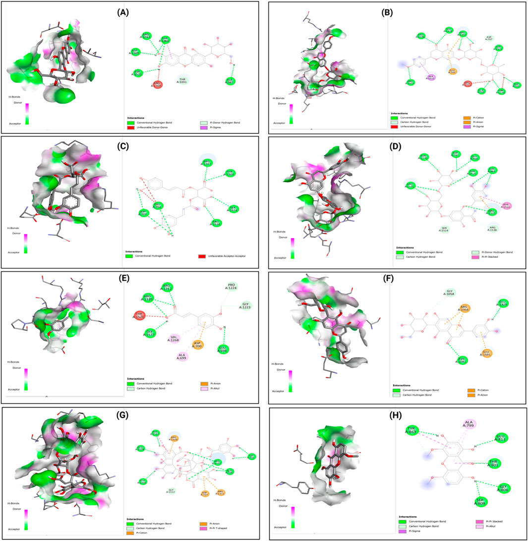 Eight molecular interaction diagrams labeled A to H show various protein-ligand binding interactions. Charts illustrate different types of interactions such as hydrogen bonds and π-π stacking with color-coded legends. Each panel contains two sections: a 3D visualization of the molecular surface and a 2D interaction map detailing residues involved. Varying colors represent interaction types, such as green for hydrogen bonds and pink for π interactions. Residues are labeled with numbers and interactions are depicted using dashed lines corresponding to the color-coded legend.