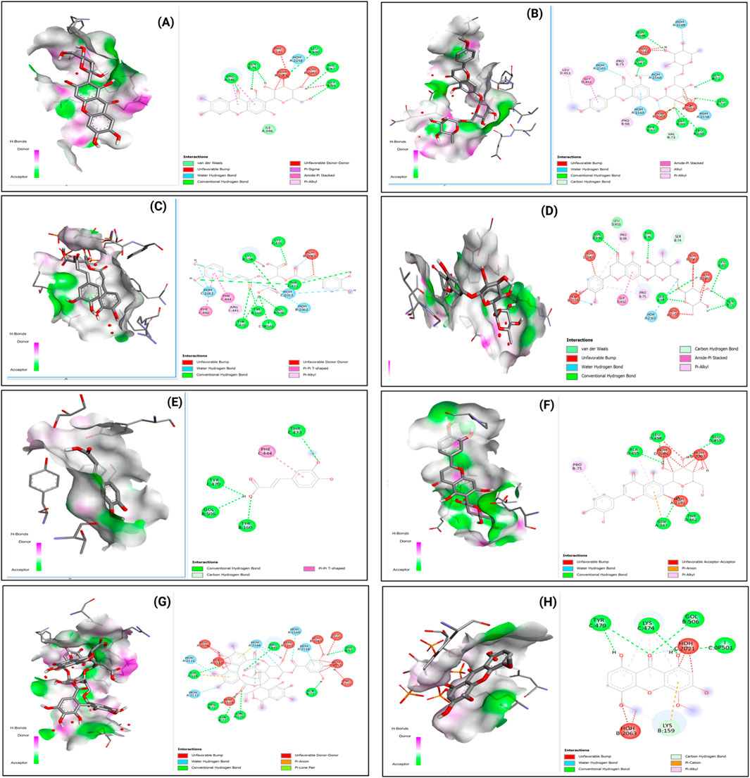 Molecular graphics showing docking interactions for eight different compounds labeled (A) to (H). Each compound has two panels: one with a 3D molecular surface model and the other with a 2D interaction diagram. Key interactions include hydrophobic, hydrogen bonds, and various other non-covalent interactions, highlighted in different colors such as green, magenta, and pink. A legend at the bottom of each panel explains the color-coding for interaction types. The graphics illustrate how the compounds bind within a receptor's active site, providing a visual comparison of their binding modes.