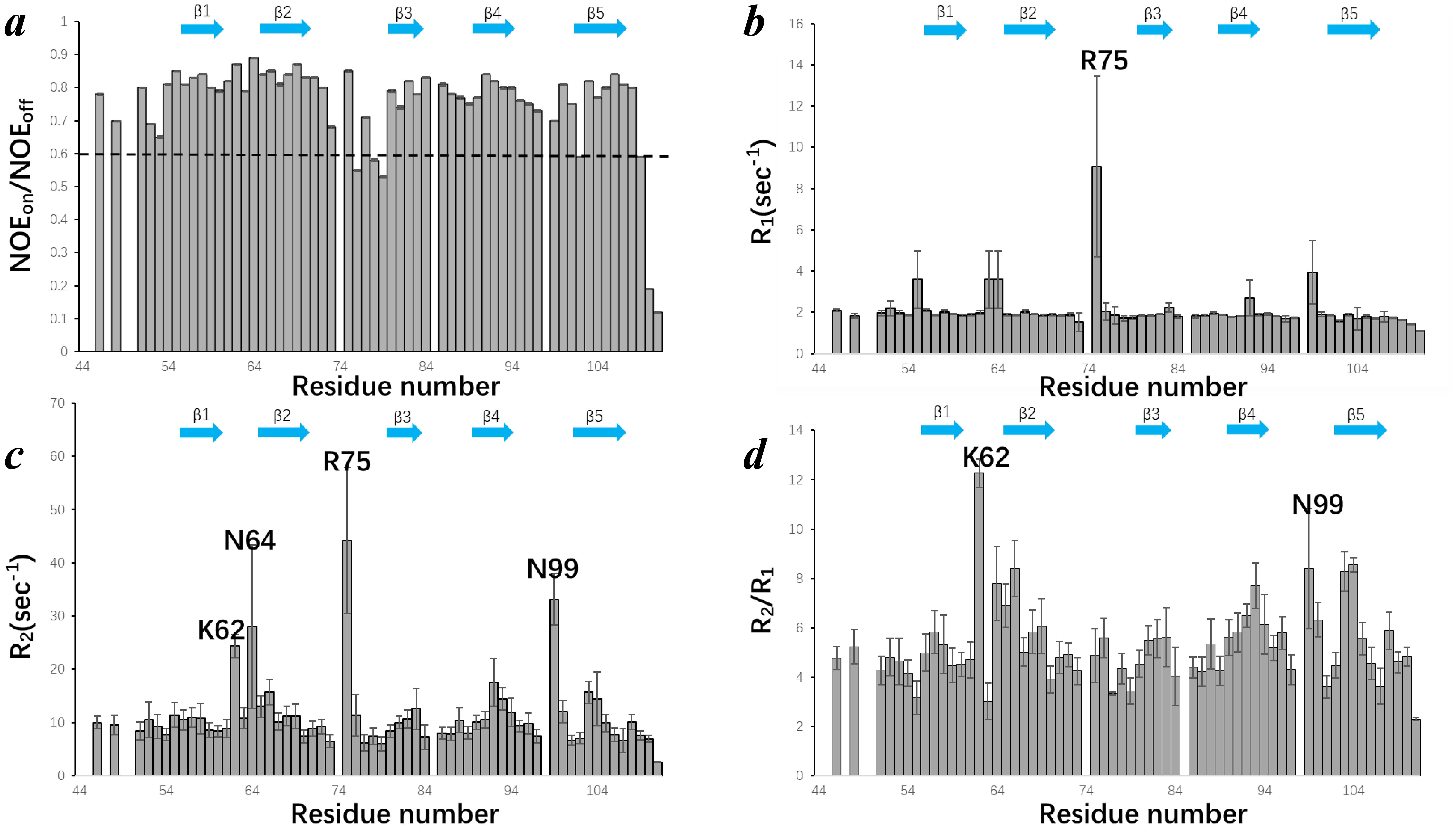 Four bar graphs labeled A, B, C, and D display various measurements against residue numbers from 44 to 104. In graph A, the y-axis shows NOE\(_{\text{on}}\)/NOE\(_{\text{off}}\). Graph B displays R\(_1\) values, with a peak labeled R75. Graph C presents R\(_2\) values with notable peaks at K62, N64, R75, and N99. Graph D indicates R\(_2\)/R\(_1\) ratios, featuring peaks at K62 and N99. Blue arrows above each graph indicate β-strands labeled β1 to β5.