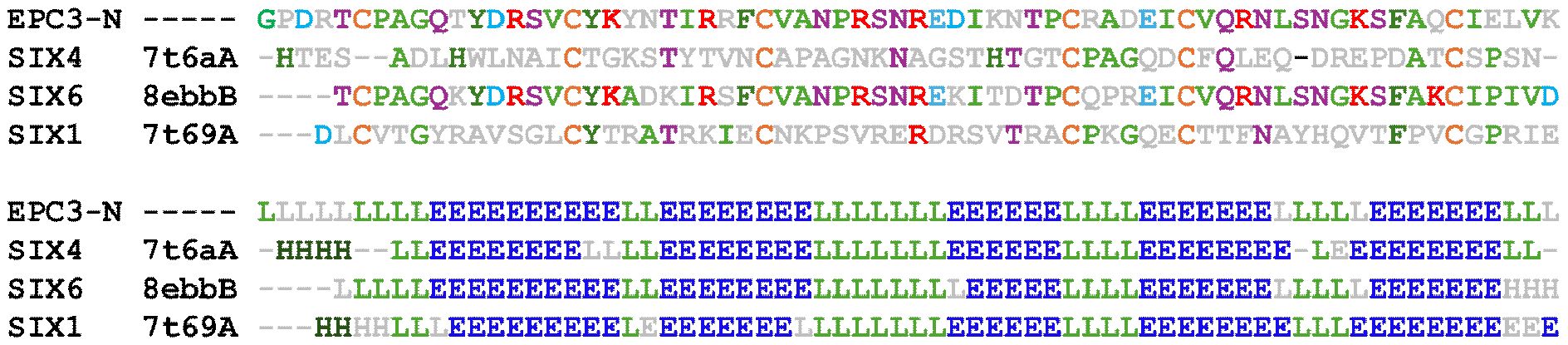Sequence alignment of protein structures for EPC3-N, SIX4, SIX6, and SIX1. Top section shows amino acid sequences with colored residues. Bottom section depicts secondary structure elements indicated by letters: 'H' for helices, 'L' for loops, and 'E' for sheets, highlighted in color.