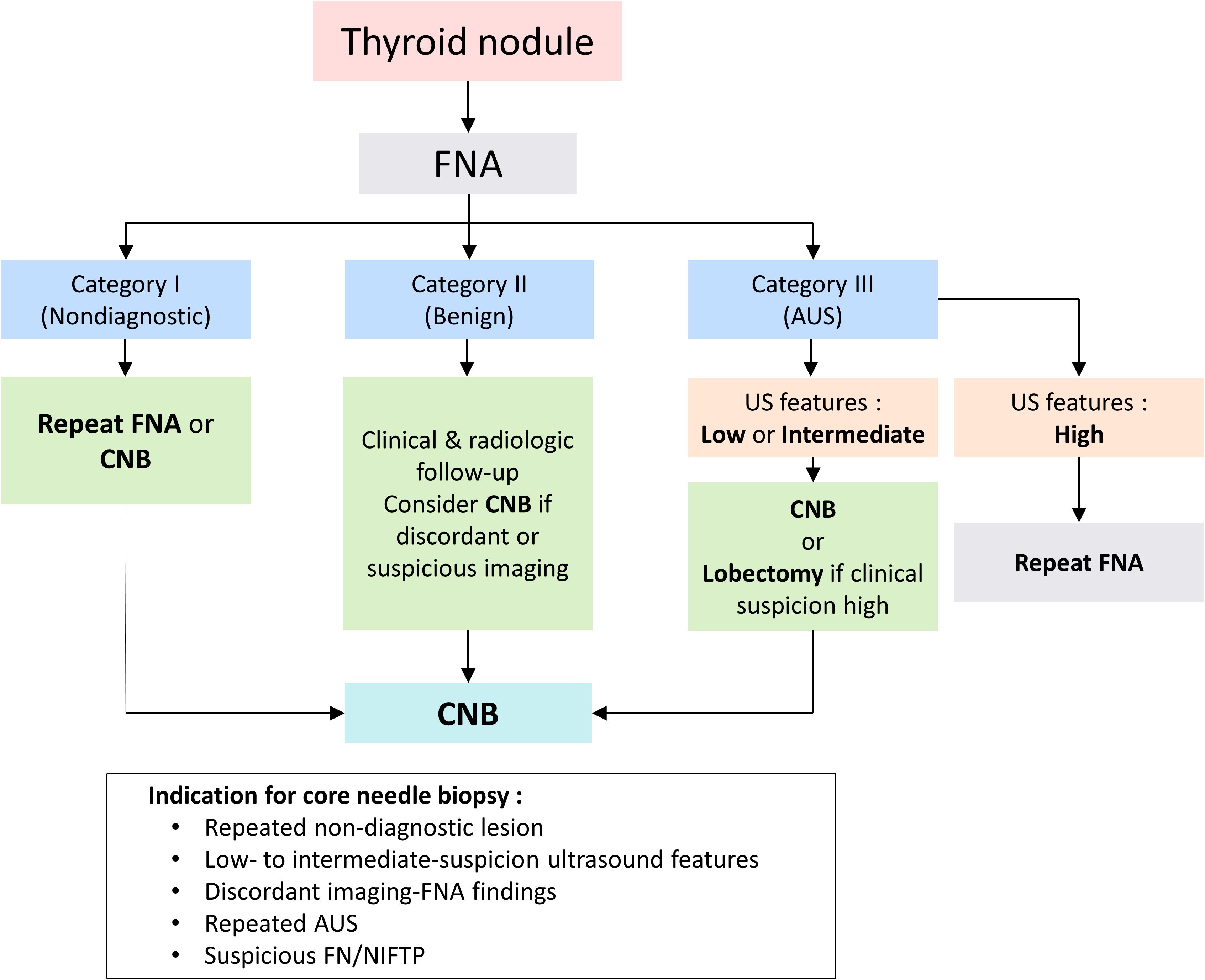 Flowchart for assessing thyroid nodules using fine-needle aspiration (FNA). It categorizes outcomes into Category I (Nondiagnostic), Category II (Benign), and Category III (AUS). Each category has suggested actions, such as repeating FNA, conducting core needle biopsy (CNB), or lobectomy based on ultrasound features and clinical suspicion. Indications for CNB include non-diagnostic lesions, suspicious ultrasound features, and repeated AUS.
