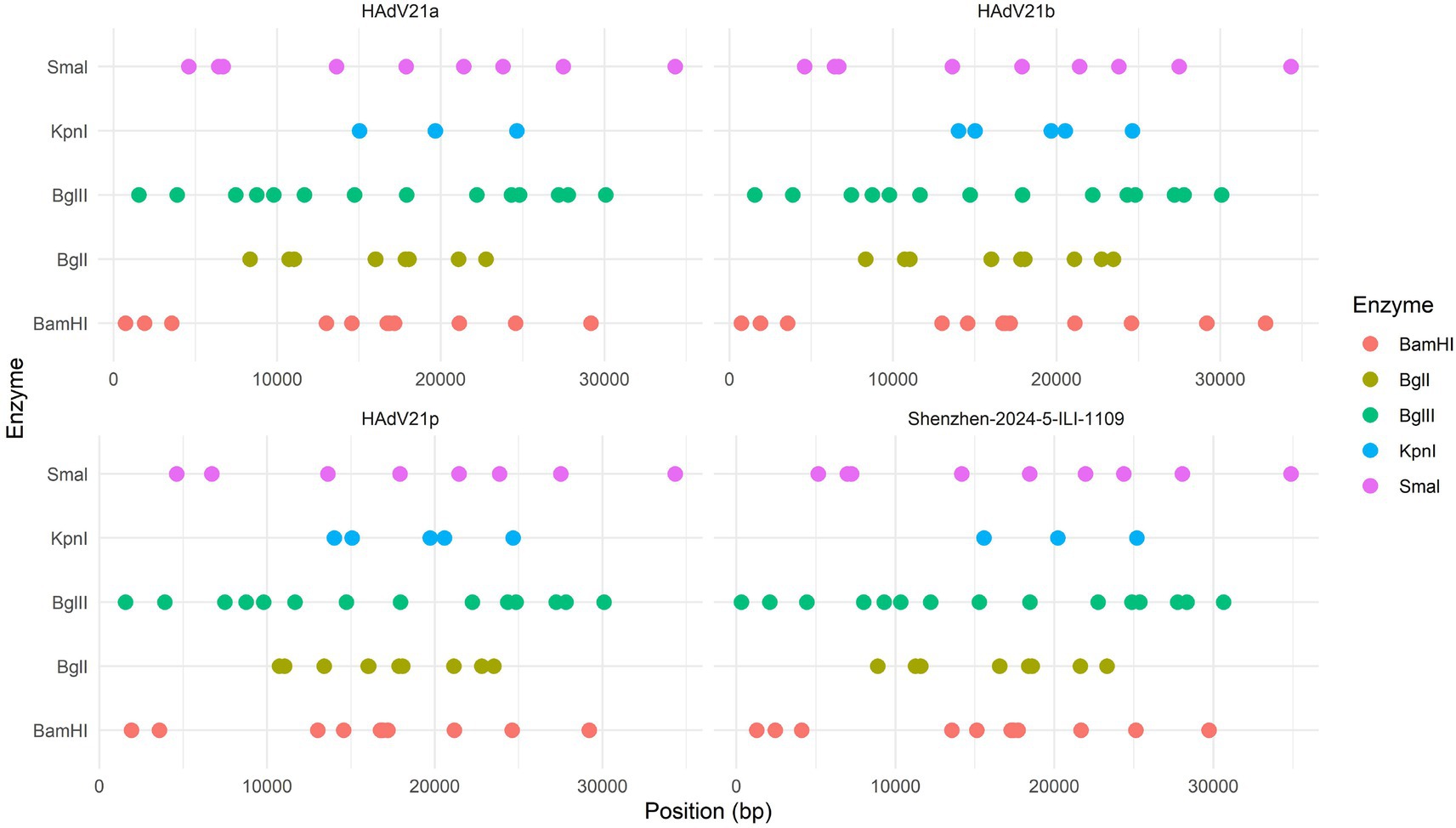Dot plot showing restriction enzyme sites for viral genomes: HAdV21a, HAdV21b, HAdV21p, and Shenzhen-2024-5-ILI-1109. Each enzyme is represented by colored dots: BamHI (red), BglII (olive), BglIII (green), KpnI (blue), and SmaI (purple). Position on genome in base pairs is on the x-axis.