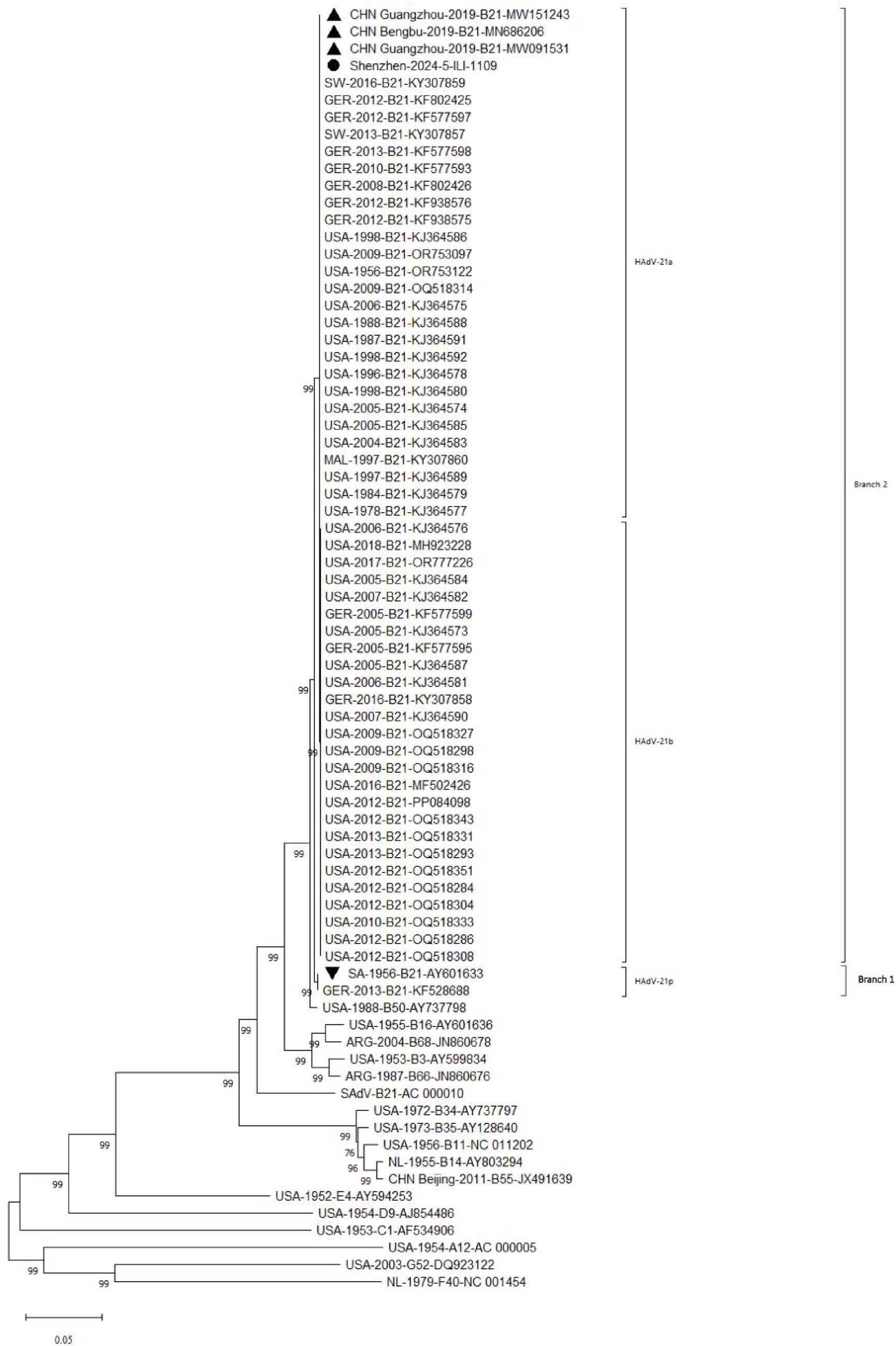 Phylogenetic tree diagram illustrating genetic relationships among various viral strains. Strains are labeled with codes from different countries, including China, USA, Germany, and more. Two main branches, labeled HAdV-21a and HAdV-21b, are shown, with several sub-branches indicating further genetic divergence. The diagram provides detailed strain names and identifiers, highlighting evolutionary connections.