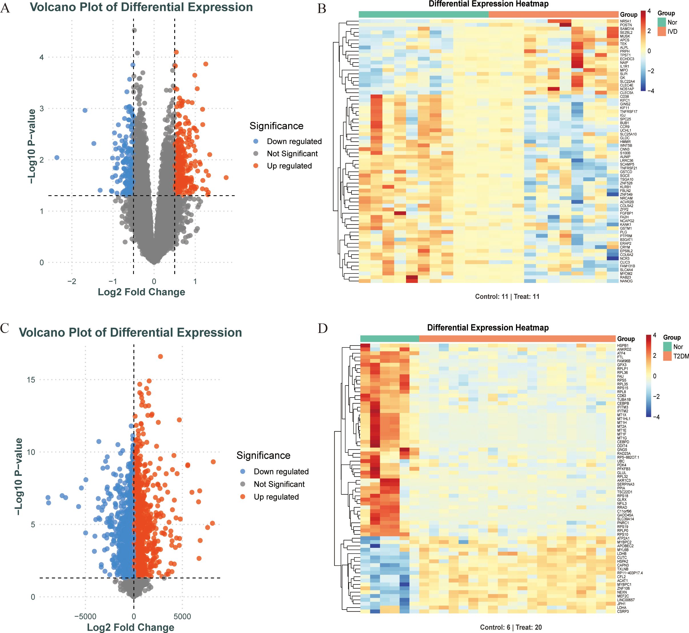 Volcano plots and heatmaps of differential gene expression. Image A shows a volcano plot with Log2 fold change on the x-axis and negative Log10 p-value on the y-axis. Points are colored to indicate upregulated and downregulated genes. Image B depicts a corresponding heatmap with gene expression levels, where colors indicate expression intensity. Image C presents another volcano plot with a wider range on the x-axis. Image D provides a heatmap associated with C, featuring hierarchical clustering and color-coded groups for control and treatment samples.