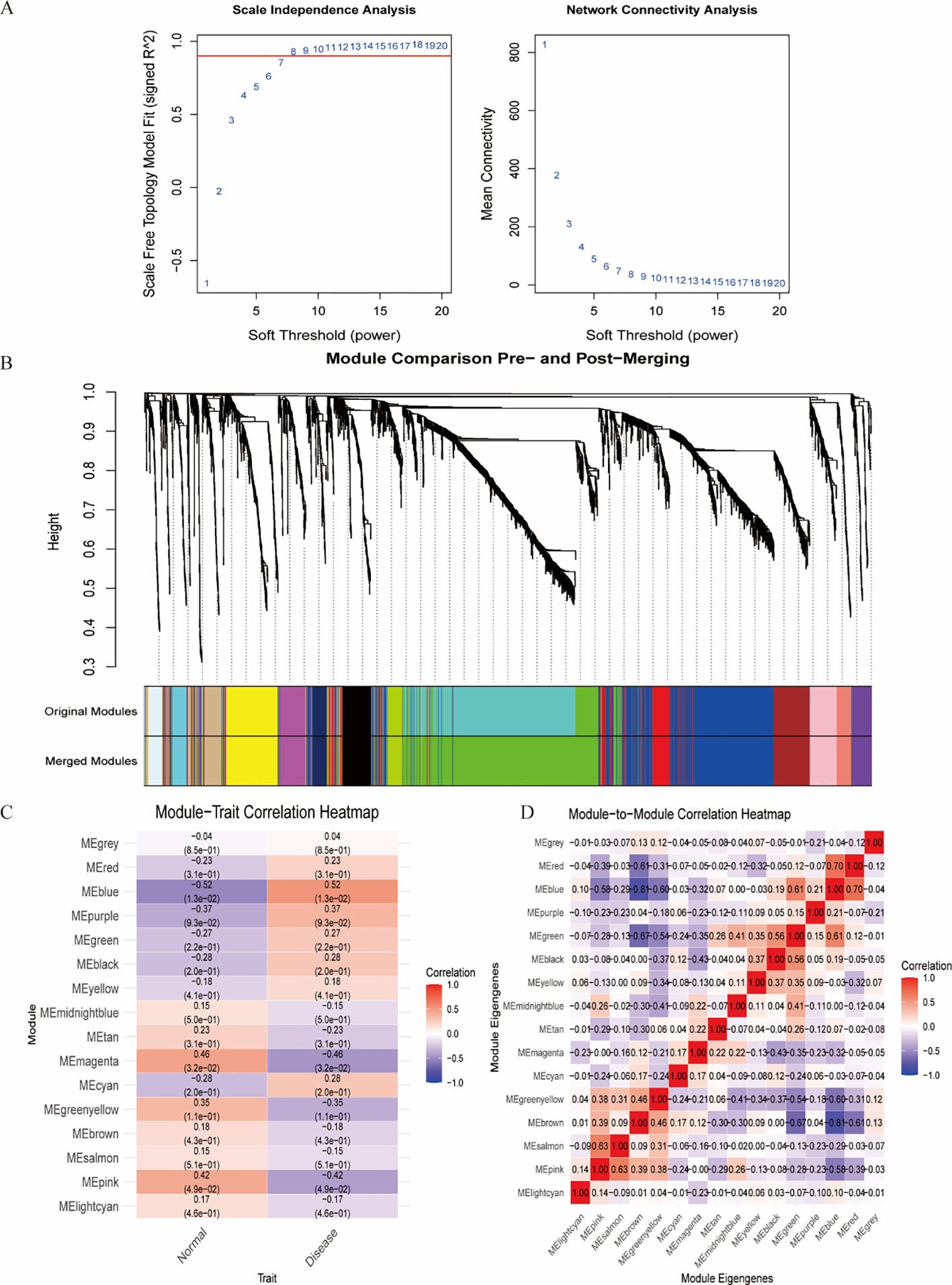 Graphs displaying analysis of network modules. Panels A and B depict scale independence and network connectivity analyses, with charts showing module comparisons pre- and post-merging. Panel C is a module-trait correlation heatmap contrasting traits between normal and disease states. Panel D presents a module-to-module correlation heatmap, highlighting correlations between module eigengenes.