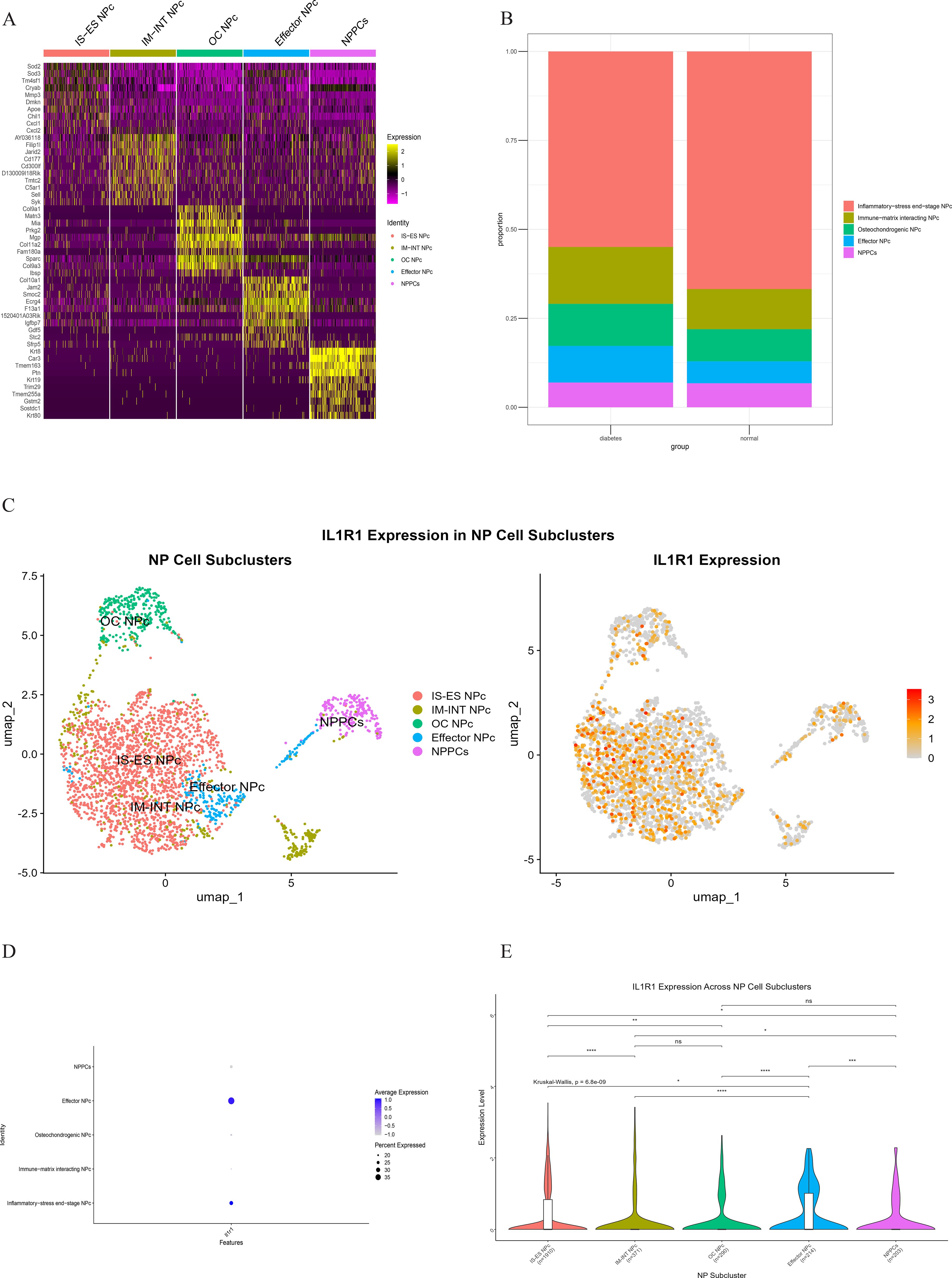 Composite image showing gene expression data. Panel A: Heatmap of cell subclusters with varying expression levels, indicated by a yellow-purple gradient. Panel B: Bar graph showing group proportions for different subclusters. Panel C: UMAP plots illustrating NP cell subclusters and IL1R1 expression distribution. Panel D: Dot plot indicating average expression and percent expressed for features and subclusters. Panel E: Violin plots comparing IL1R1 expression levels across NP cell subclusters with statistical significance annotations.