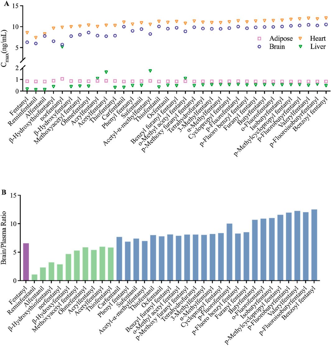 Graph A shows the maximum concentration (Cmax) of various fentanyl analogs in different tissues: adipose, heart, brain, and liver, with different shapes representing each tissue type. Graph B displays the brain-to-plasma ratio of these analogs, with fentanyl analogs on the horizontal axis and ratio values on the vertical axis, using color-coded bars.