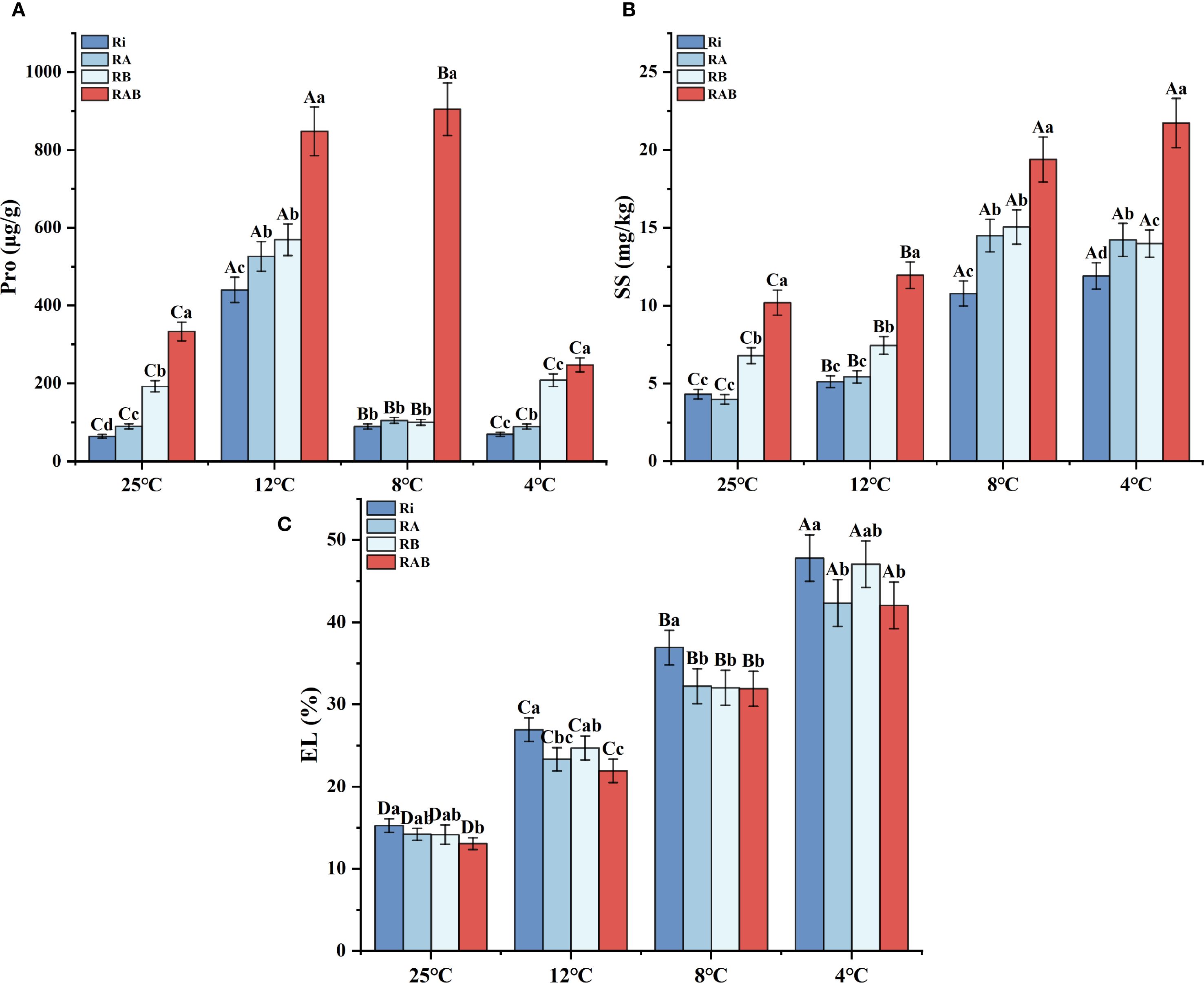 Bar charts labeled A, B, and C compare four treatments (Ri, RA, RB, RAB) under decreasing temperatures (25°C, 12°C, 8°C, 4°C). Chart A shows Pro content, chart B shows SS content, and chart C shows EL percentage. Ri, RA, RB, and RAB are represented by blue, light blue, purple, and red bars, respectively. Values vary by temperature, with significant increases and decreases noted for each treatment across different temperature conditions. Error bars indicate variability.