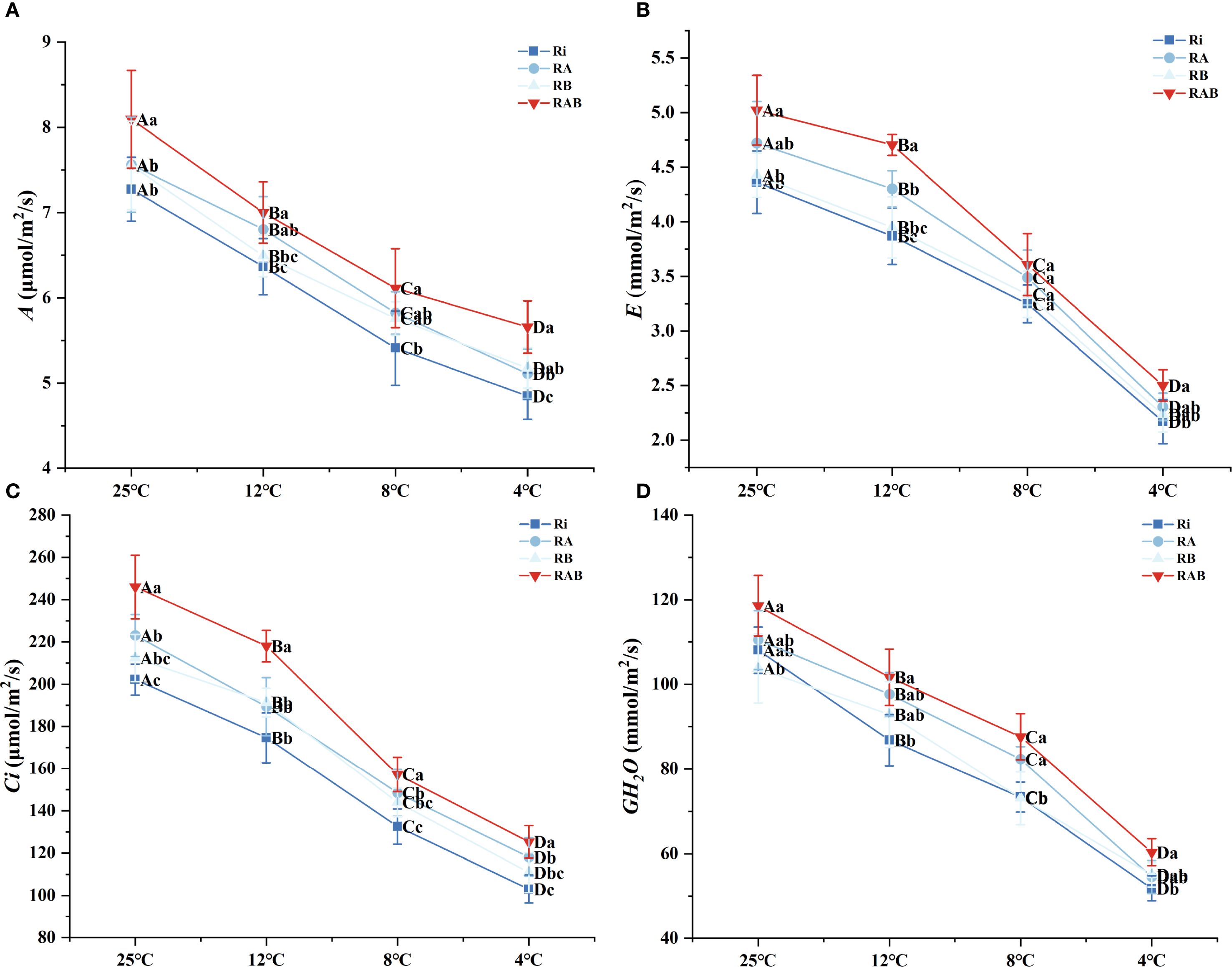 Four line graphs display different variables over temperatures of twenty-five, twelve, eight, and four degrees Celsius. Graph A shows net photosynthesis rate A, Graph B shows transpiration rate E, Graph C shows intercellular carbon dioxide concentration C sub i, and Graph D shows stomatal conductance to water vapor GH sub 2 O. Each graph includes four datasets labeled Ri, RA, RB, and RAB, represented by different symbols and colors. A general trend indicates a decrease in all measured parameters as temperature decreases. Error bars and letter annotations indicate statistical significance.