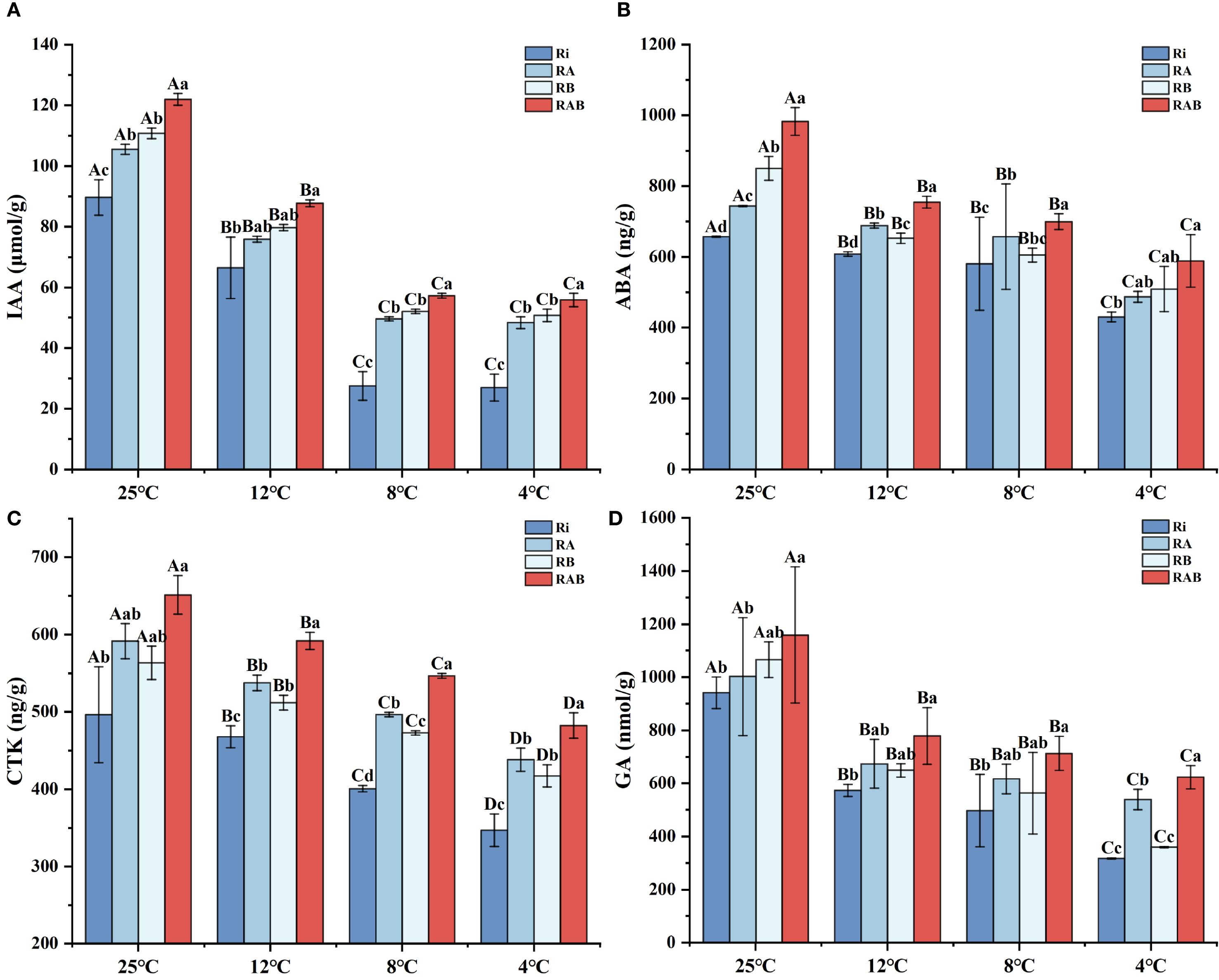 Bar graphs labeled A, B, C, and D show concentrations of phytohormones IAA, ABA, CTK, and GA at temperatures 25°C, 12°C, 8°C, and 4°C. The bars represent four treatments: Ri, RA, RB, RAB in different shades. Each graph indicates varying levels of each hormone across conditions, with specific letters denoting statistical significance. Error bars are present for each measurement.