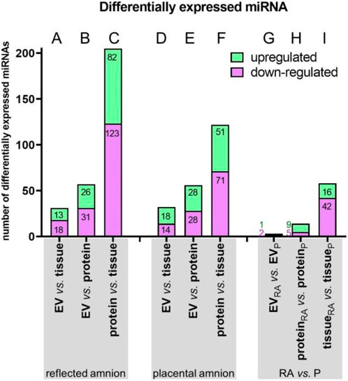 Bar graph showing differentially expressed miRNAs in three amnion conditions: reflected amnion, placental amnion, and RA vs. P. The graph compares upregulated (green) and downregulated (purple) miRNAs across different comparisons labeled A to I. The highest differential expression is in comparison C (protein vs. tissue) with 205 miRNAs, predominantly downregulated.