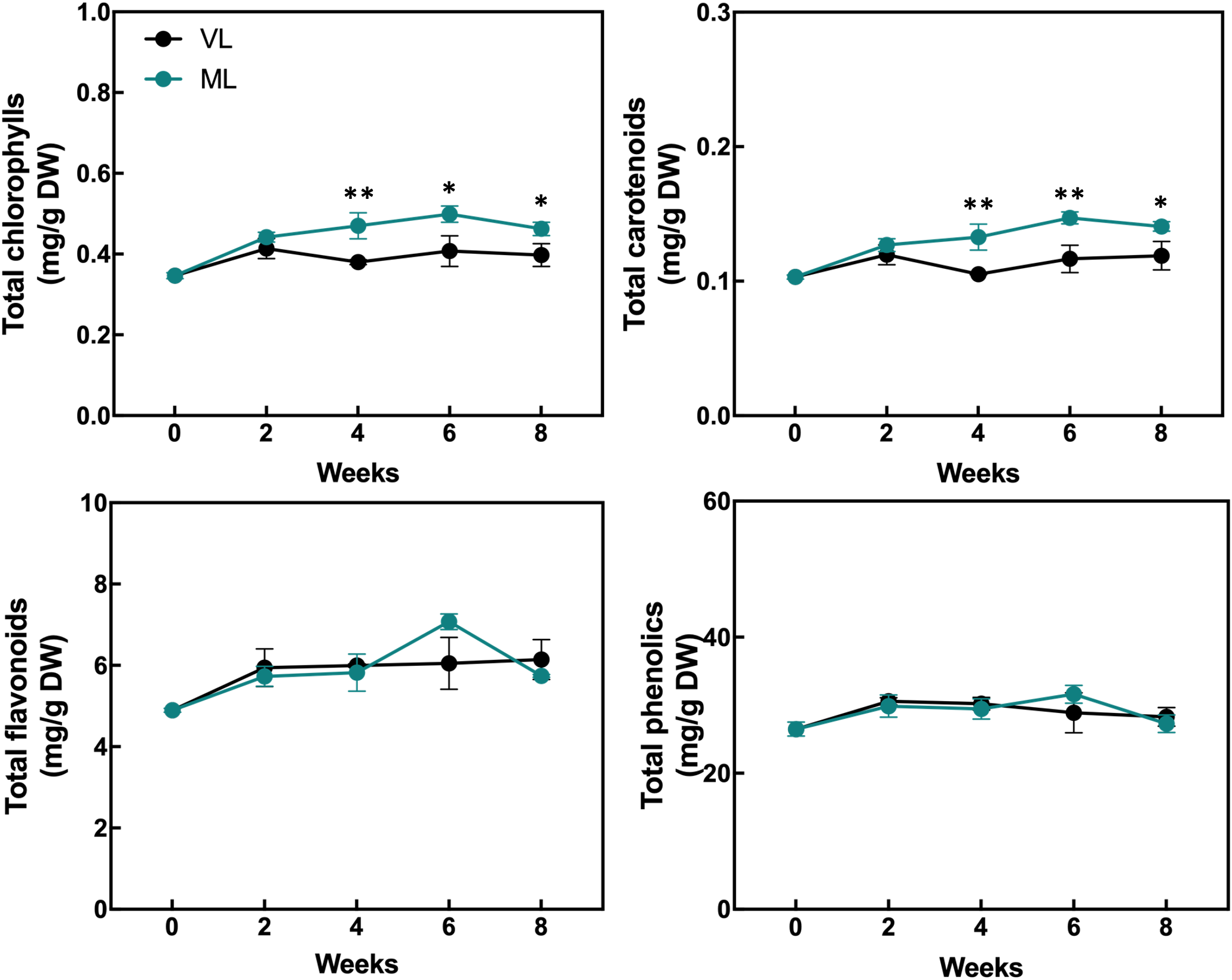 Four line graphs showing concentrations of different compounds over eight weeks. Top left: Total chlorophylls, ML line higher than VL with significant differences marked by asterisks. Top right: Total carotenoids, ML line higher than VL with significant differences. Bottom left: Total flavonoids, both lines similar with a peak at six weeks. Bottom right: Total phenolics, both lines similar without significant differences. Legends indicate VL as black circles and ML as teal circles.