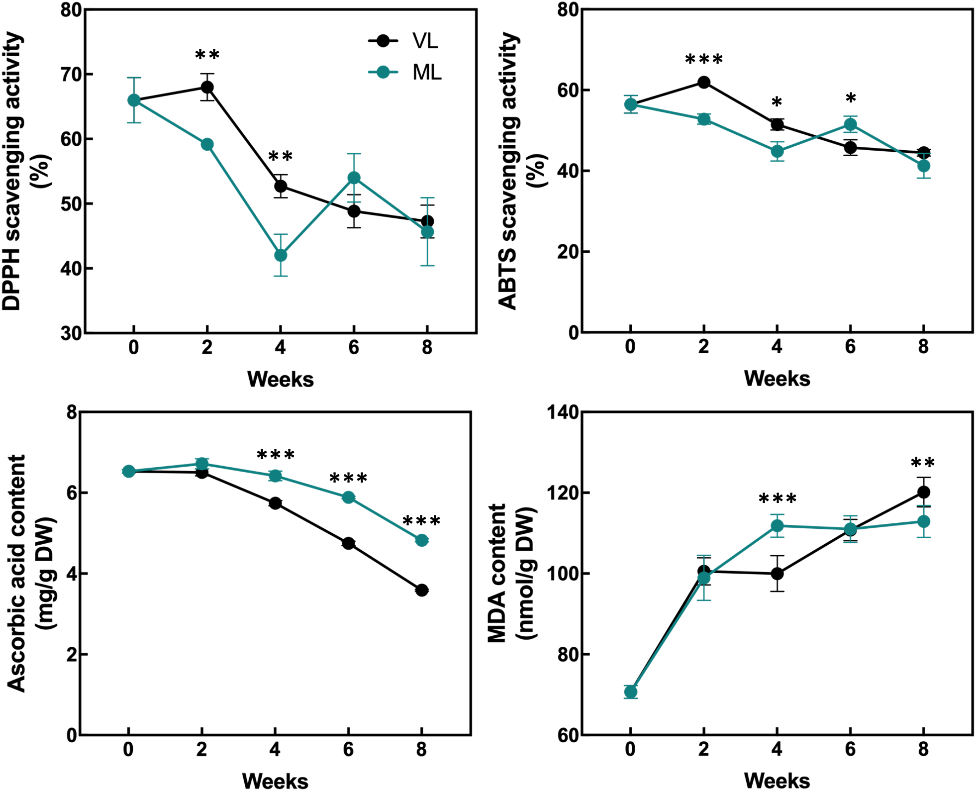 Four line graphs comparing VL (black circles) and ML (teal circles) over an eight-week period. Top left: DPPH scavenging activity decreases over time, with significant differences at weeks 2 and 4. Top right: ABTS scavenging activity decreases, with significant differences at weeks 2, 6, and 8. Bottom left: Ascorbic acid content decreases in both groups, with significant differences from weeks 4 to 8. Bottom right: MDA content increases, with significant differences at weeks 4 and 8. Error bars indicate variability.