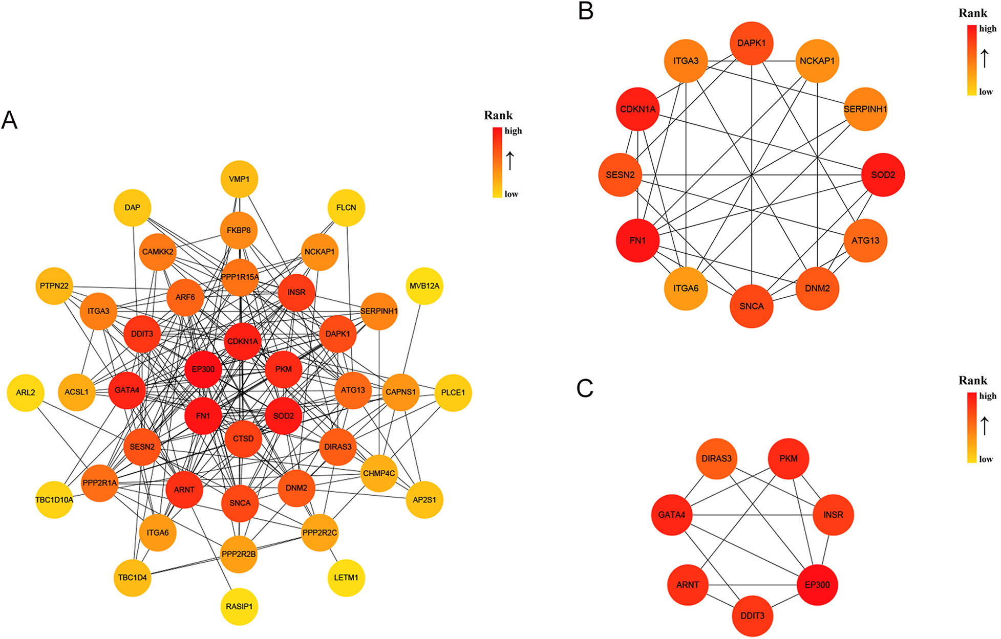 Network diagrams labeled A, B, and C illustrate relationships among nodes, color-coded from high to low rank (red to yellow). Diagram A depicts a complex network with numerous nodes and connections. Diagram B and C display simpler networks with fewer nodes, focusing on smaller core interactions. Each diagram includes a rank scale indicating node importance with color gradients.