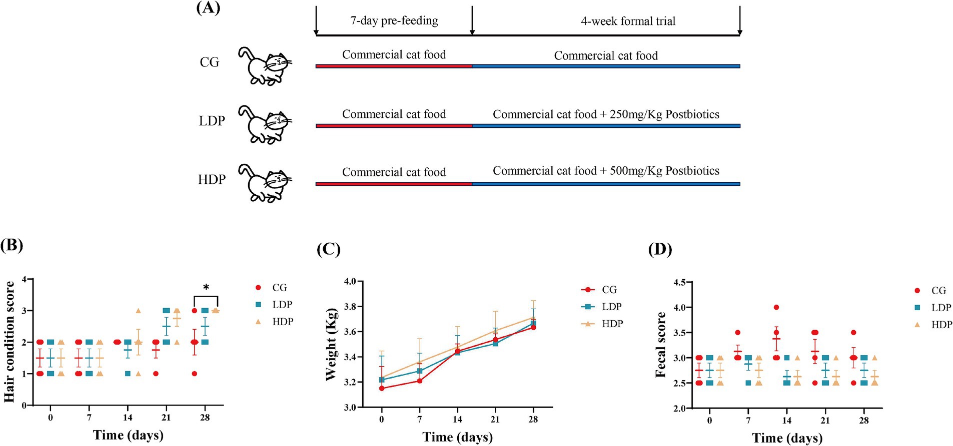 (A) Experimental design showing a 7-day pre-feeding with commercial cat food, followed by a 4-week trial. Groups are CG, LDP, and HDP with different postbiotic levels. (B) Graph displays hair condition scores over time for each group, with significant improvements noted. (C) Weight changes over time are shown, with gradual increases across all groups. (D) Fecal scores are plotted, indicating variability over time with no significant changes.