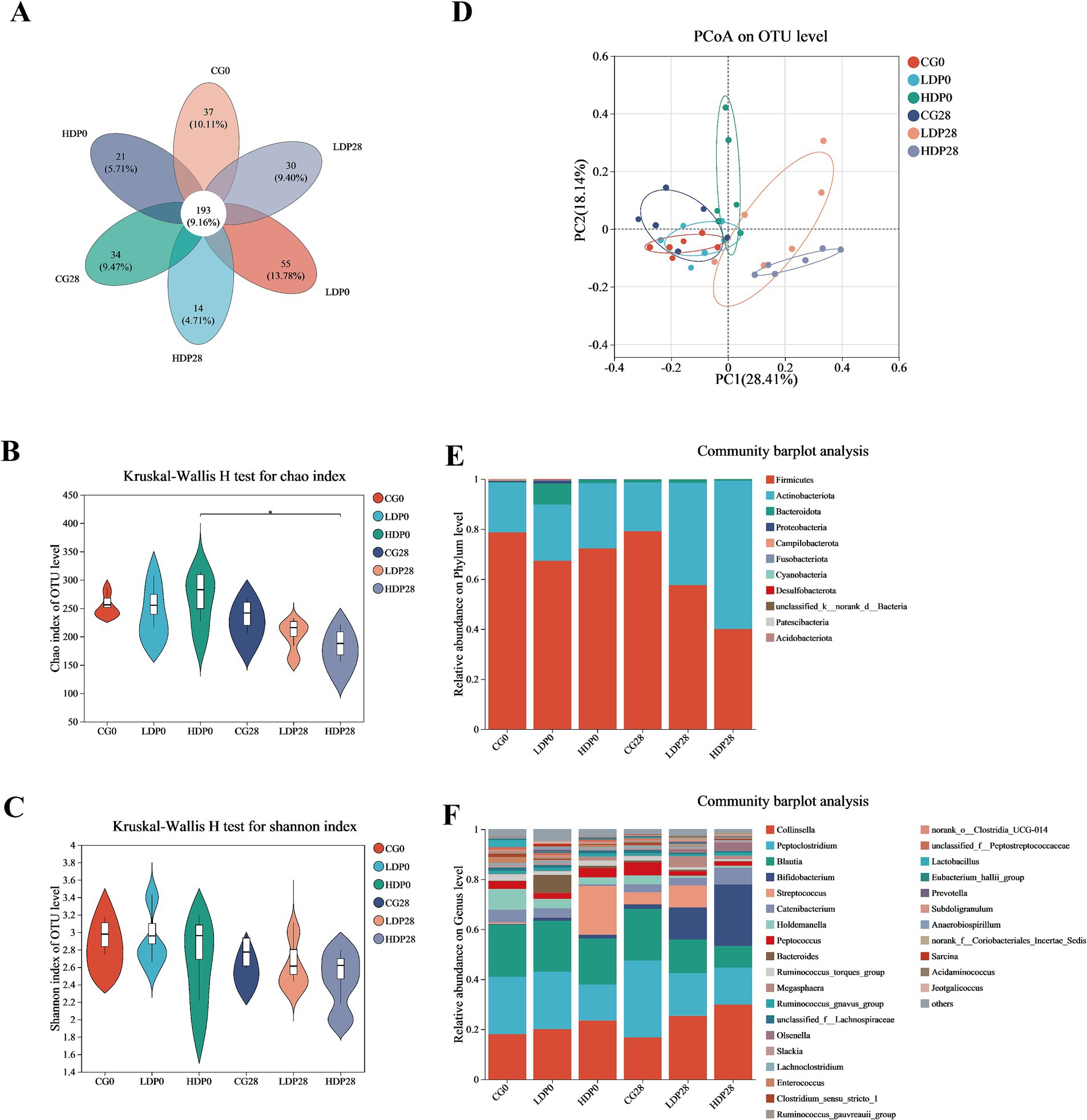 Venn diagram (A) showing overlapping OTUs among six groups: CG0, LDP0, HDP0, CG28, LDP28, and HDP28. Violin plots (B and C) illustrate Kruskal-Wallis H test results for Chao and Shannon indices, respectively, comparing diversity across groups. PCoA plot (D) displays OTU level clustering. Bar charts (E and F) display relative abundance of microbial communities at phylum and genus levels, respectively, highlighting variations among groups.