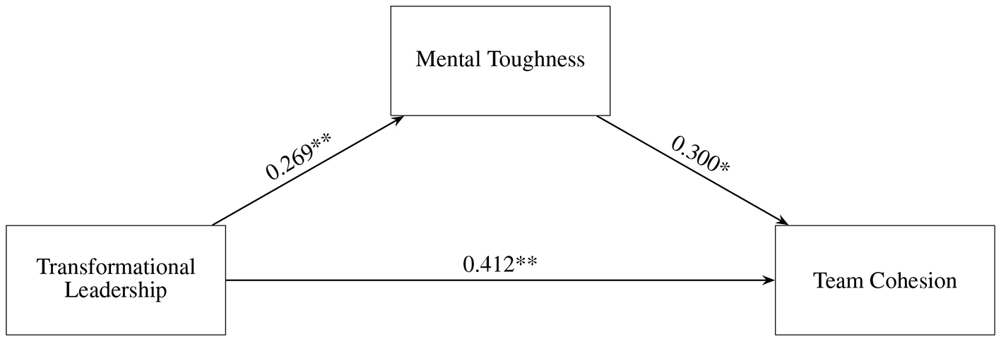 Diagram showing a mediation model where Transformational Leadership influences Team Cohesion both directly and indirectly through Mental Toughness. Path coefficients are 0.412 for direct influence, 0.269 for influence on Mental Toughness, and 0.300 for the effect of Mental Toughness on Team Cohesion.