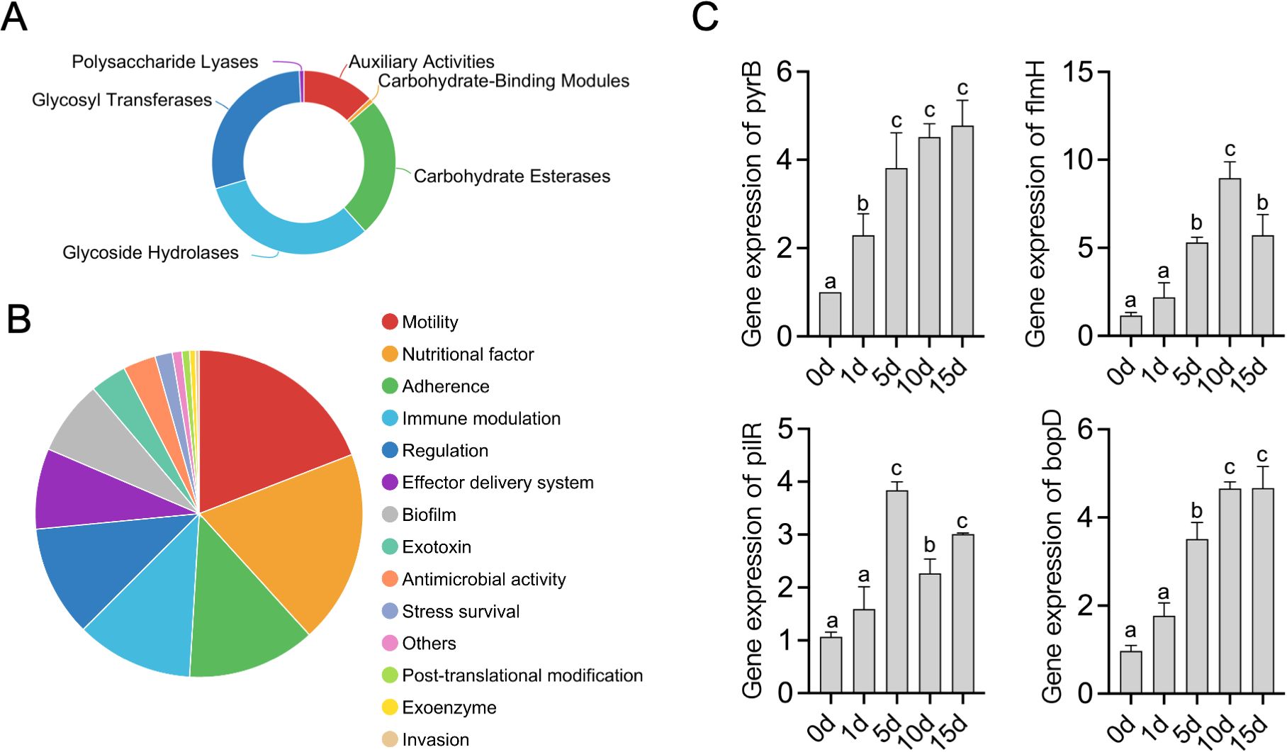 Diagram with three sections labeled A, B, and C. A: Donut chart showing categories of carbohydrate enzymes. B: Pie chart depicting factors like motility and nutritional factors. C: Four bar graphs showing gene expression levels of pyrB, fimH, pilR, and bopD over days zero to fifteen, with variable height increases labeled a, b, and c.