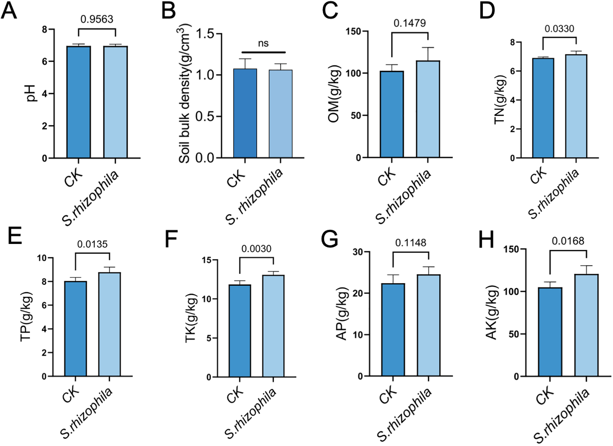 Bar graphs comparing CK and S. rhizophila for various parameters: (A) pH shows no significant difference with a p-value of 0.9563. (B) Soil bulk density also shows no significant change, marked 'ns'. (C) Organic matter, (D) Total nitrogen, (E) Total phosphorus, (F) Total potassium, (G) Available phosphorus, and (H) Available potassium show varied p-values, indicating differences in parameter levels, with significant differences in some instances. Light blue bars represent S. rhizophila, and dark blue bars represent CK.