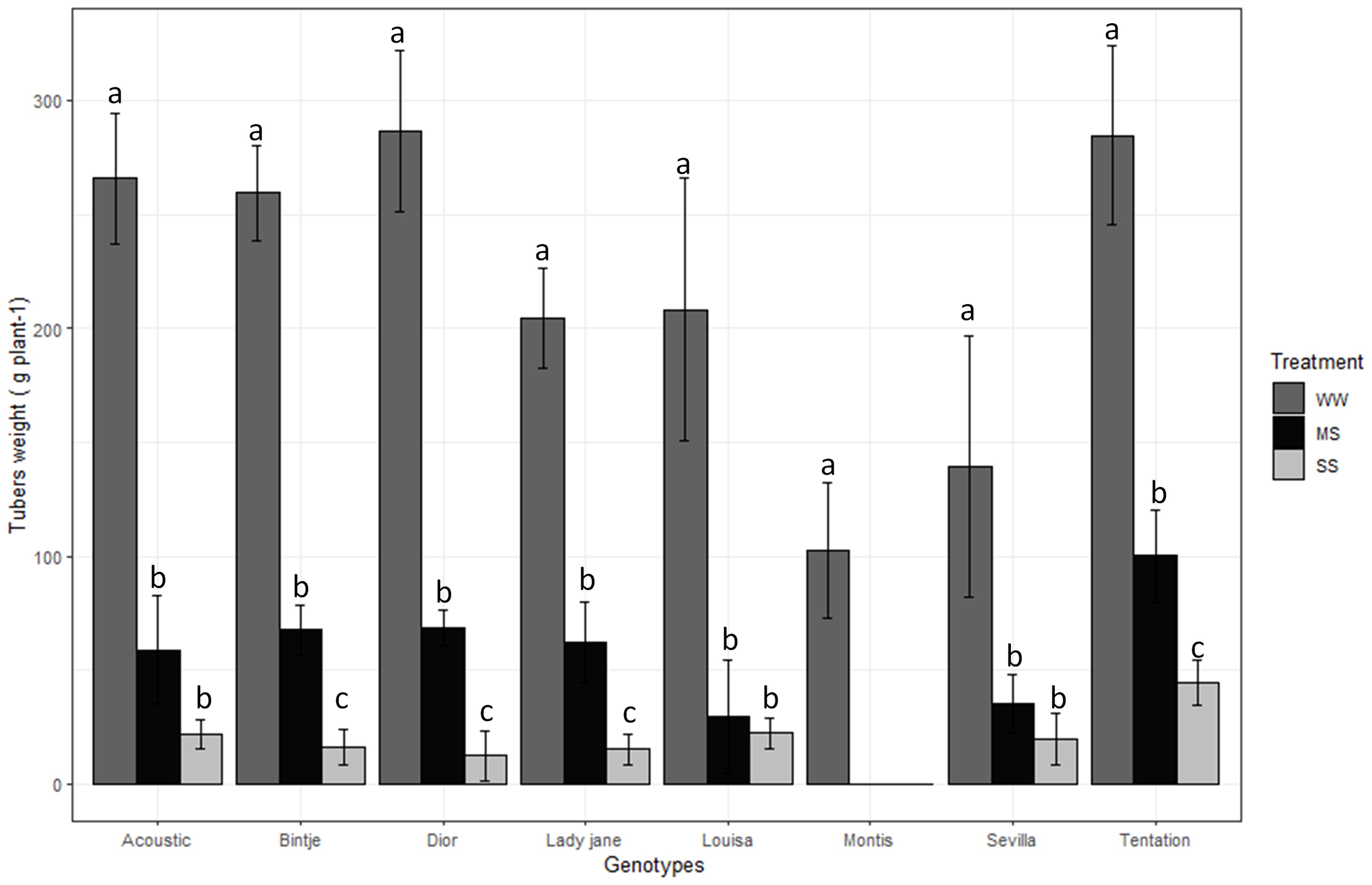 Bar chart depicting tuber weights for different genotypes under three treatments: WW (grey), MS (black), and SS (light grey). Each genotype shows varying weights, with WW generally displaying the highest weights, followed by MS and SS. Error bars indicate variability, with annotations 'a', 'b', and 'c' representing statistical differences.