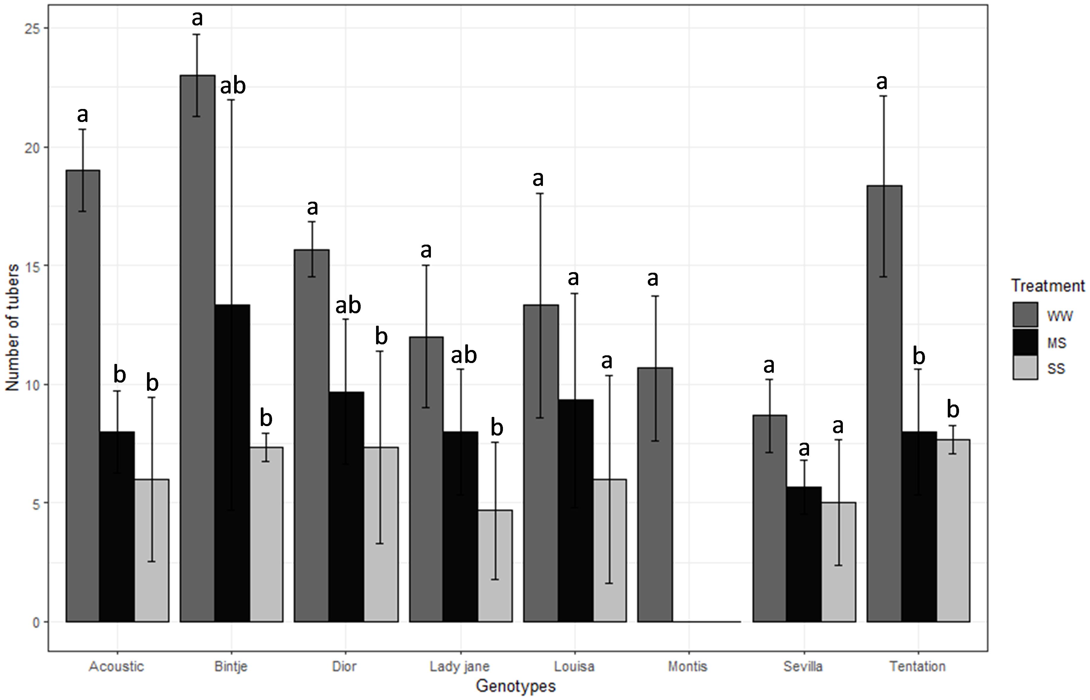 Bar chart showing the number of tubers for various genotypes under three treatments: WW, MS, and SS. Bars are labeled with “a,” “ab,” or “b” to indicate statistical significance. The chart shows variations in tuber numbers across genotypes such as Acoustic, Bintje, Dior, Lady Jane, Louisa, Montis, Sevilla, and Tentation. Error bars represent the variability in tuber numbers.