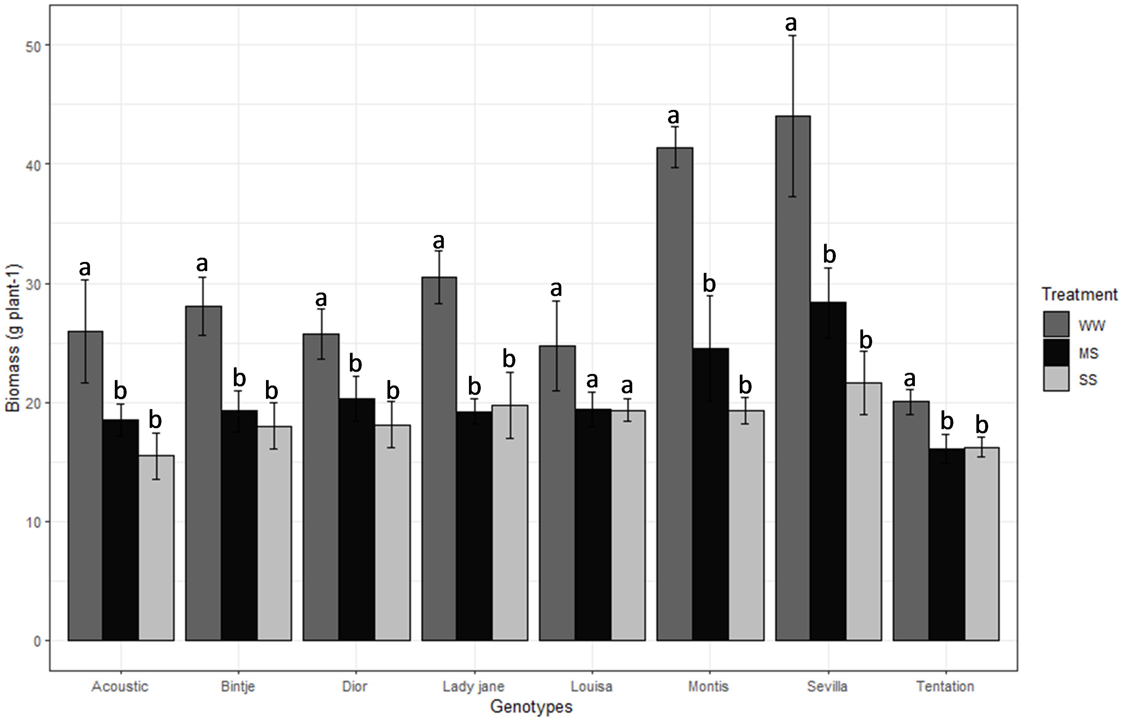 Bar chart comparing biomass of different genotypes under three treatments: WW, MS, and SS. Each genotype (Acoustic, Bintje, Dior, Lady jane, Louisa, Montis, Sevilla, Tentation) has three bars representing the treatments with labeled statistical significance (a, b). Biomass values range from 0 to 50 grams per plant.
