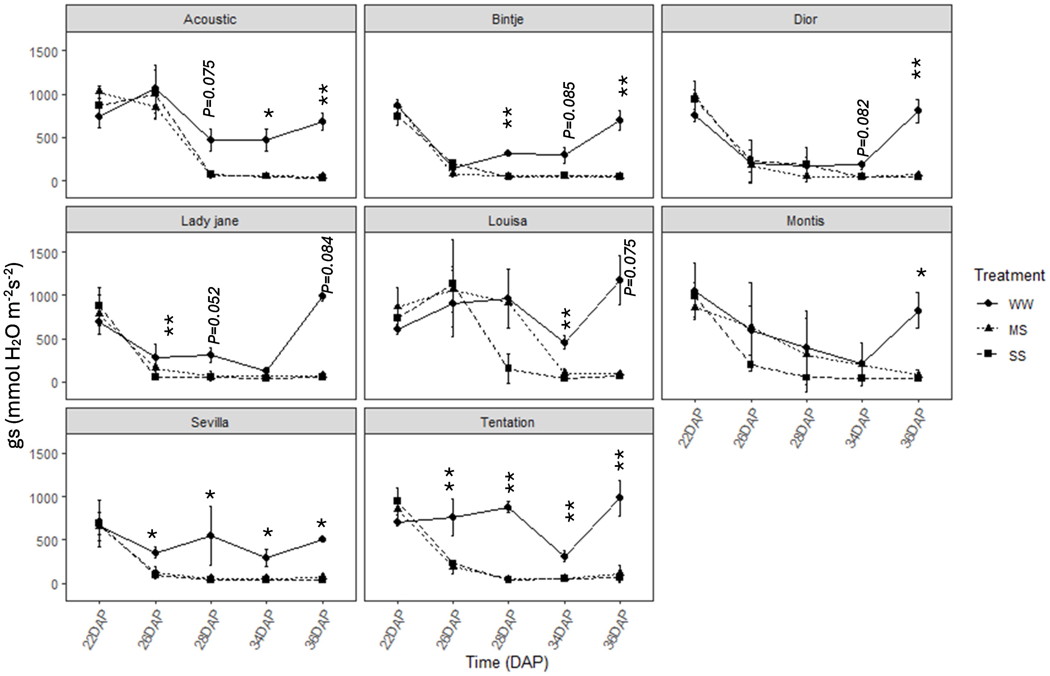 Nine line graphs represent gs (mmol H2O m-2 s-1) over time (DAP) for different treatments on various cultivars, including Acoustic, Bintje, Dior, Lady Jane, Louisa, Montis, Sevilla, and Tentation. Treatments WW, MS, and SS are indicated with different line styles and markers in a legend.