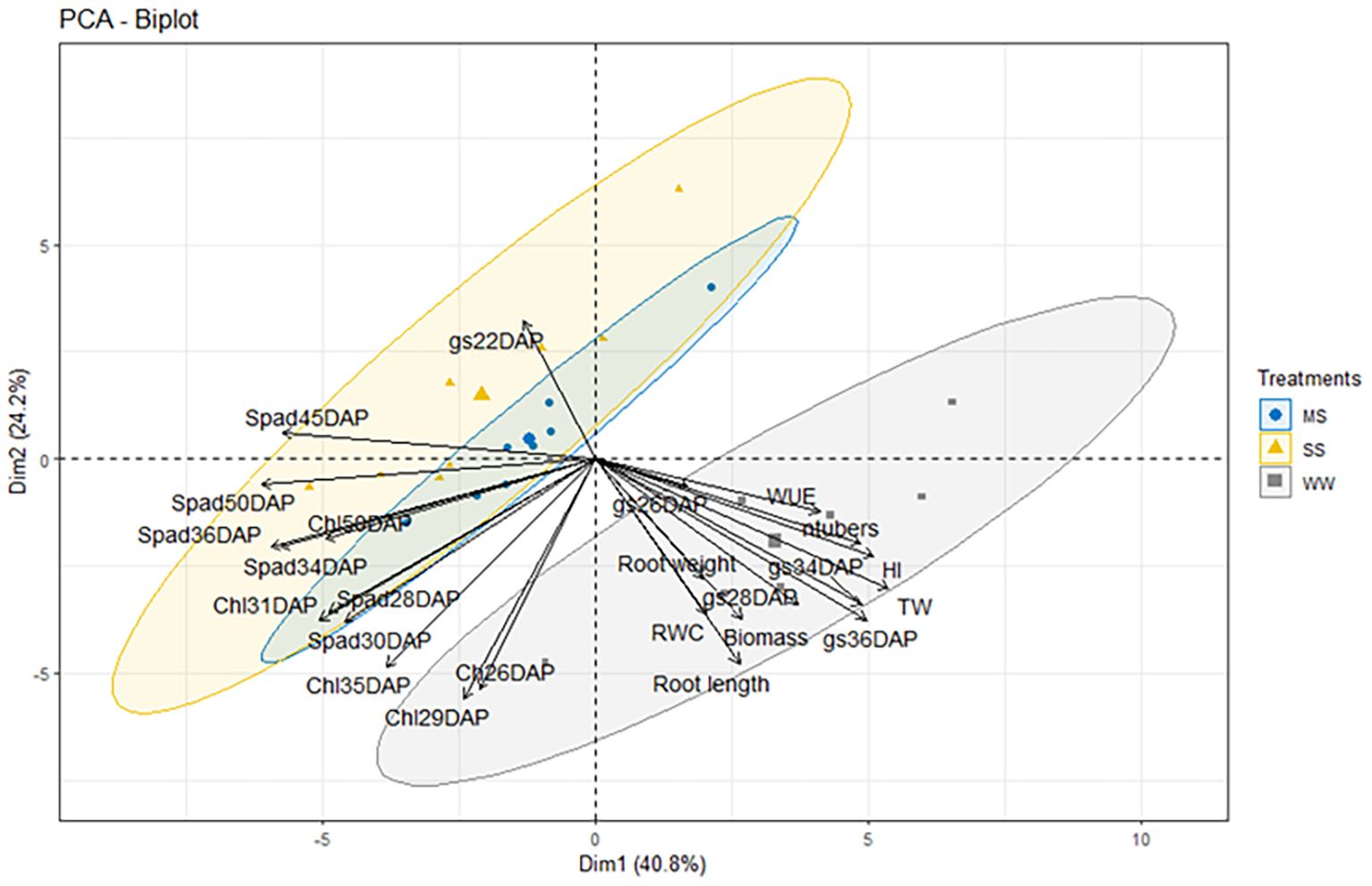 PCA biplot displaying the relationship between different treatments (MS, SS, WW) and variables. Treatment groups are represented by colored ellipses: blue for MS, yellow for SS, and gray for WW. Points within ellipses indicate individual observations. Variables, like Spad and gsDap, are represented as vectors radiating from the origin, indicating their influence on the principal components, Dim1 and Dim2, which explain 40.8 percent and 24.2 percent of the variance, respectively.