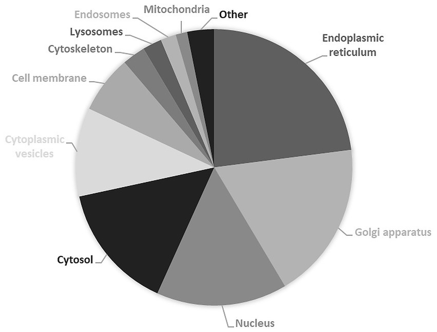 Pie chart depicting the distribution of cellular components. Major sections include cytosol, nucleus, and Golgi apparatus. Smaller sections represent endoplasmic reticulum, mitochondria, and other organelles such as lysosomes and cytoskeleton.