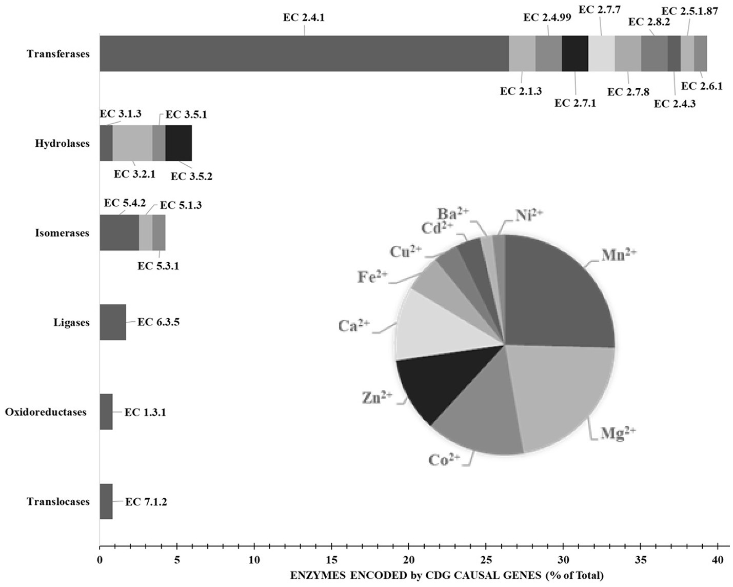 Bar chart and pie chart together depict percentages of enzymes encoded by CDG causal genes. Bar chart shows categories: transferases, hydrolases, isomerases, ligases, oxidoreductases, translocases, with specific EC numbers. Pie chart illustrates metal ion distribution including magnesium, manganese, calcium, zinc, others, with varying segment sizes.
