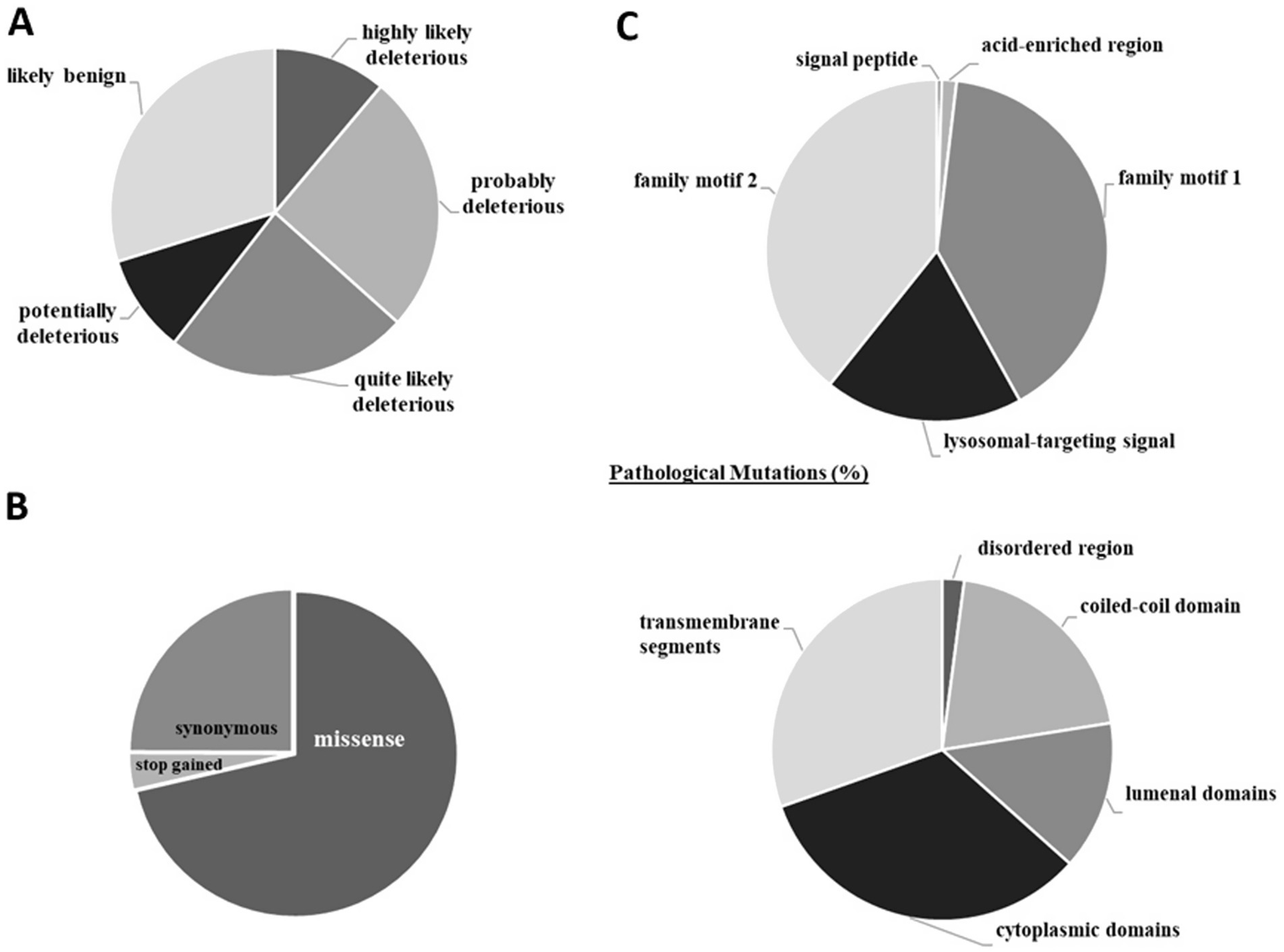 Three pie charts labeled A, B, and C. Chart A shows probabilities of harmful genetic variants: highly likely, probably, quite likely, potentially deleterious, and likely benign. Chart B indicates mutation types: missense, synonymous, and stop gained. Chart C details percentages of pathological mutations in protein regions: signal peptide, acid-enriched region, family motifs, lysosomal-targeting signal, transmembrane segments, disordered region, coiled-coil domain, lumenal and cytoplasmic domains.