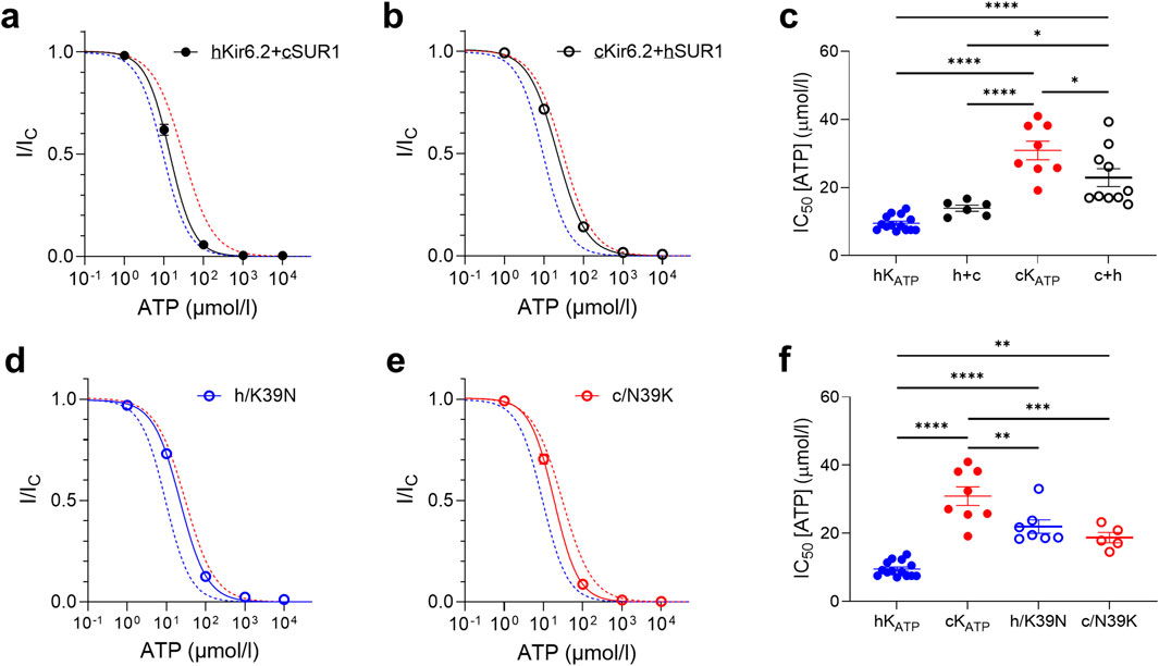 Graphs show ATP concentration-response curves and IC₅₀ values for for hybrid KATP channels (human Kir6.2 and canine SUR1, and viceversa) or mutation in the Kir6.2 pore subunit. Panels a and b depict dose-response curves for hKir6.2 with cSUR1 and cKir6.2 with hSUR1. Panels d and e display curves for h/K39N and c/N39K mutations. Panels c and f show IC₅₀ comparisons, with significant differences indicated by asterisks.