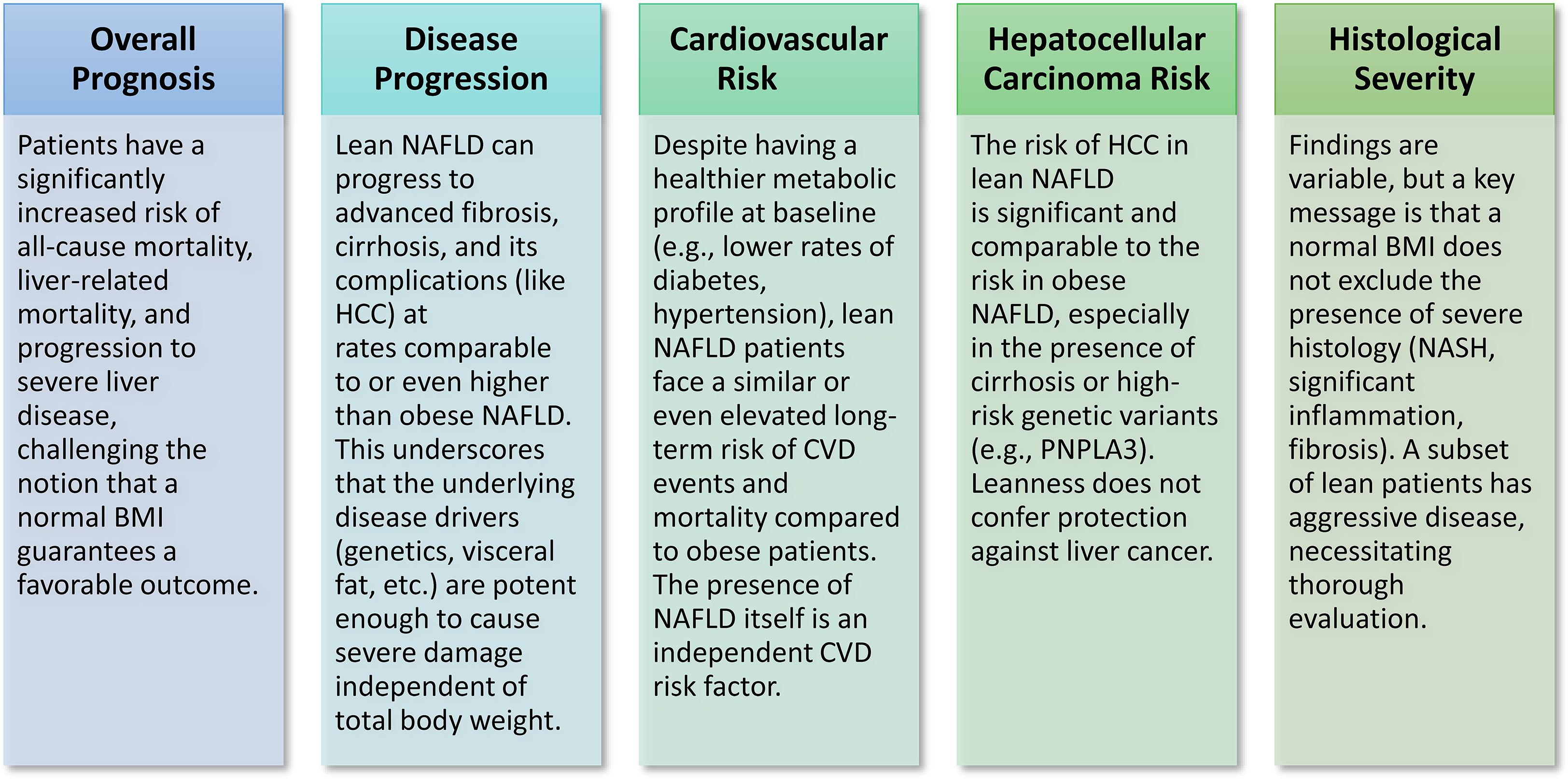Five columns explain different aspects of lean NAFLD. Overall prognosis highlights a high risk of mortality and severe liver disease, challenging the belief that normal BMI ensures favorable outcomes. Disease progression shows lean NAFLD can progress to severe stages similar to obese NAFLD. Cardiovascular risk indicates elevated risks despite healthier metabolic profiles. Hepatocellular carcinoma risk is significant, comparable to obese NAFLD. Histological severity reveals severe disease presence regardless of BMI, requiring thorough evaluation.