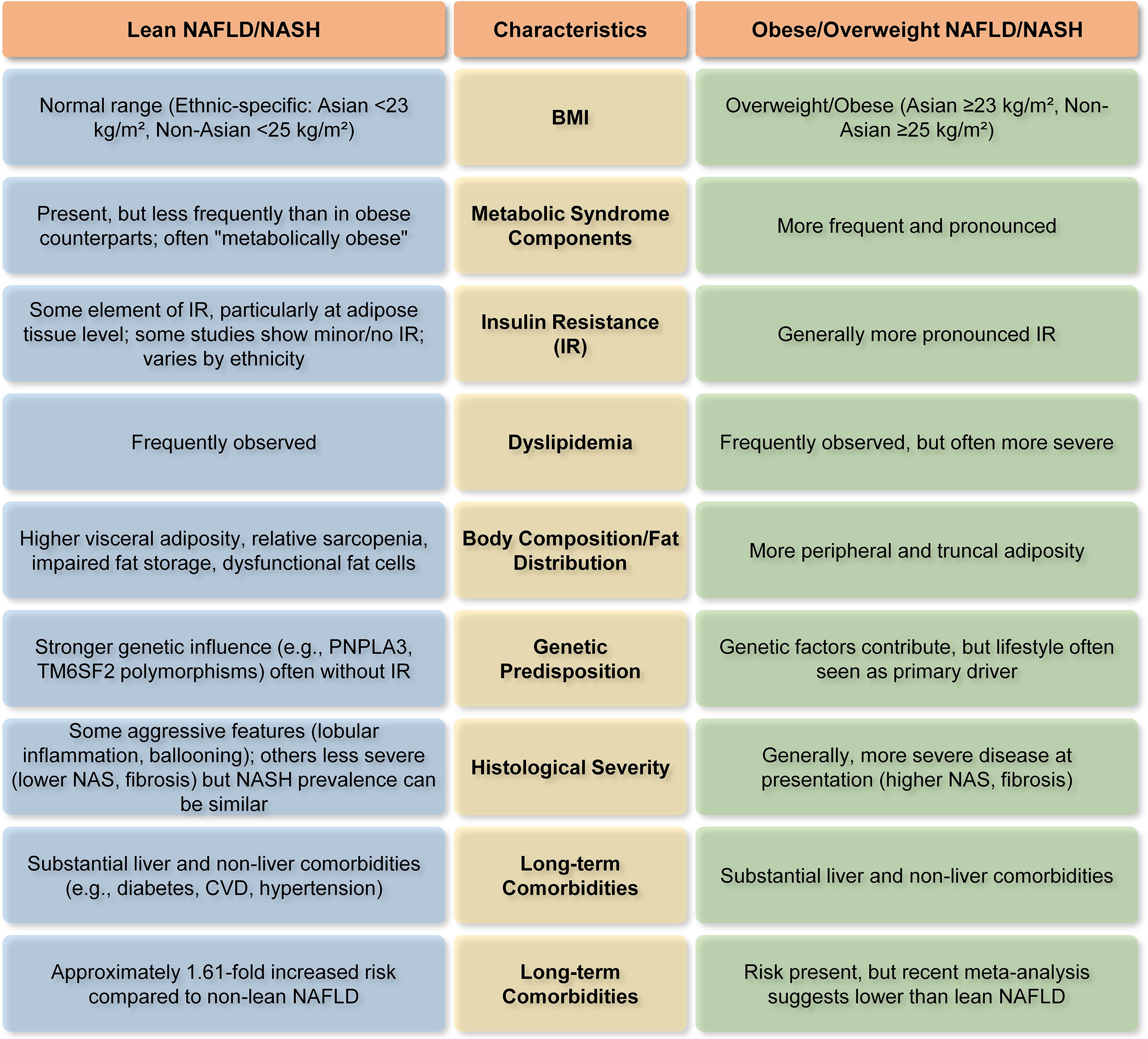 Comparison chart of lean versus obese/overweight NAFLD/NASH characteristics. It covers BMI, metabolic syndrome components, insulin resistance, dyslipidemia, body composition, genetic predisposition, histological severity, and long-term comorbidities, highlighting differences in severity, frequency, and genetic influences between the two groups.