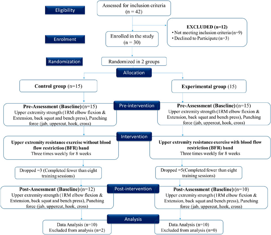 Flowchart depicting a study process. Eligibility: 42 assessed, 12 excluded. Enrollment: 30 participants randomized into control and experimental groups, each with 15. Pre-assessment measures upper extremity strength and punching force. Control group performs exercises without blood flow restriction, experimental group with it, both three times a week for eight weeks. Dropout of 3 in control, 5 in experimental. Post-assessment mirrors pre-assessment. Data analysis conducted on 10 in each group, with 2 excluded in control, none in experimental.