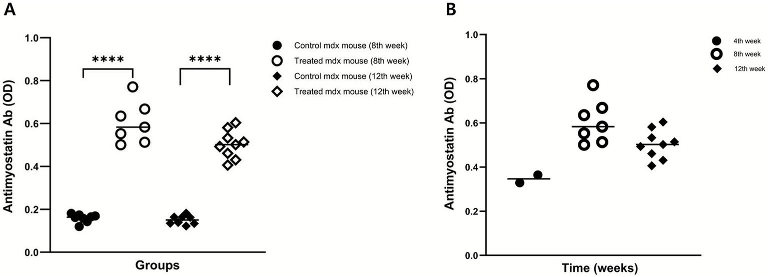 Graphs A and B display antimyostatin antibody levels (optical density) in different mouse groups and over time. Graph A shows higher levels in treated mice after eight and twelve weeks compared to controls, with significance indicated by asterisks. Graph B illustrates levels over time, with increases observed by the twelfth week. Both graphs include symbols distinguishing groups or time points.